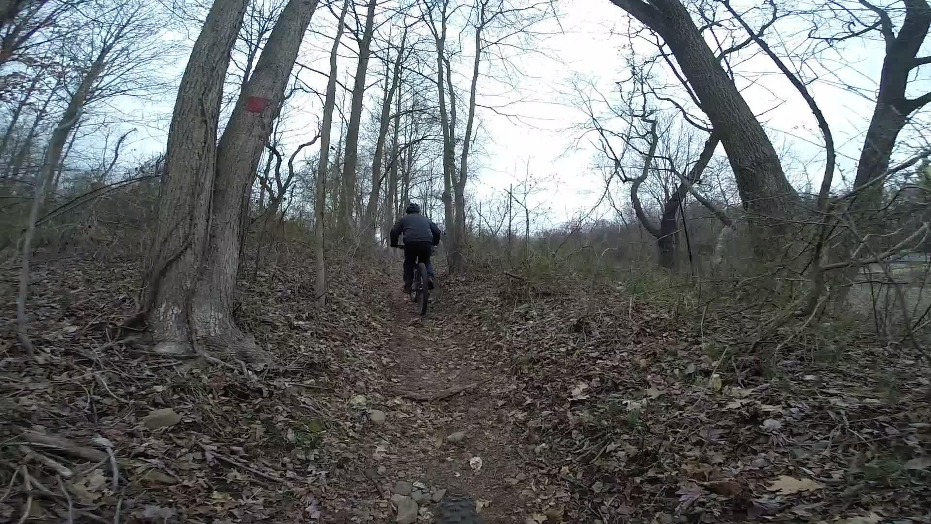 A cyclist rides up a narrow, muddy trail through a wooded area, surrounded by bare trees and fallen leaves. The atmosphere is overcast, suggesting a cool, possibly damp day. Richmond Avenue and Forest Hill road mountain bike trail.