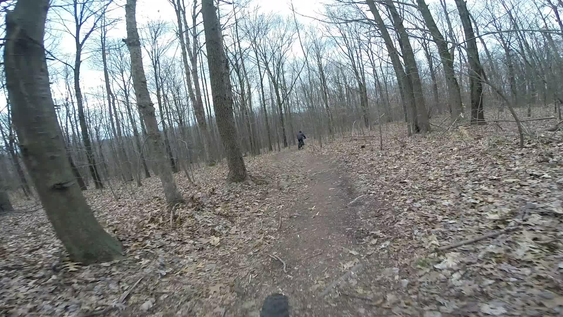 A view of a narrow dirt trail winding through a wooded area in early spring. Bare trees line the path, and the ground is covered with fallen leaves. In the distance, a cyclist is riding along the trail, adding a sense of movement to the serene forest scene. Richmond Avenue and Forest Hill road mountain bike trail.