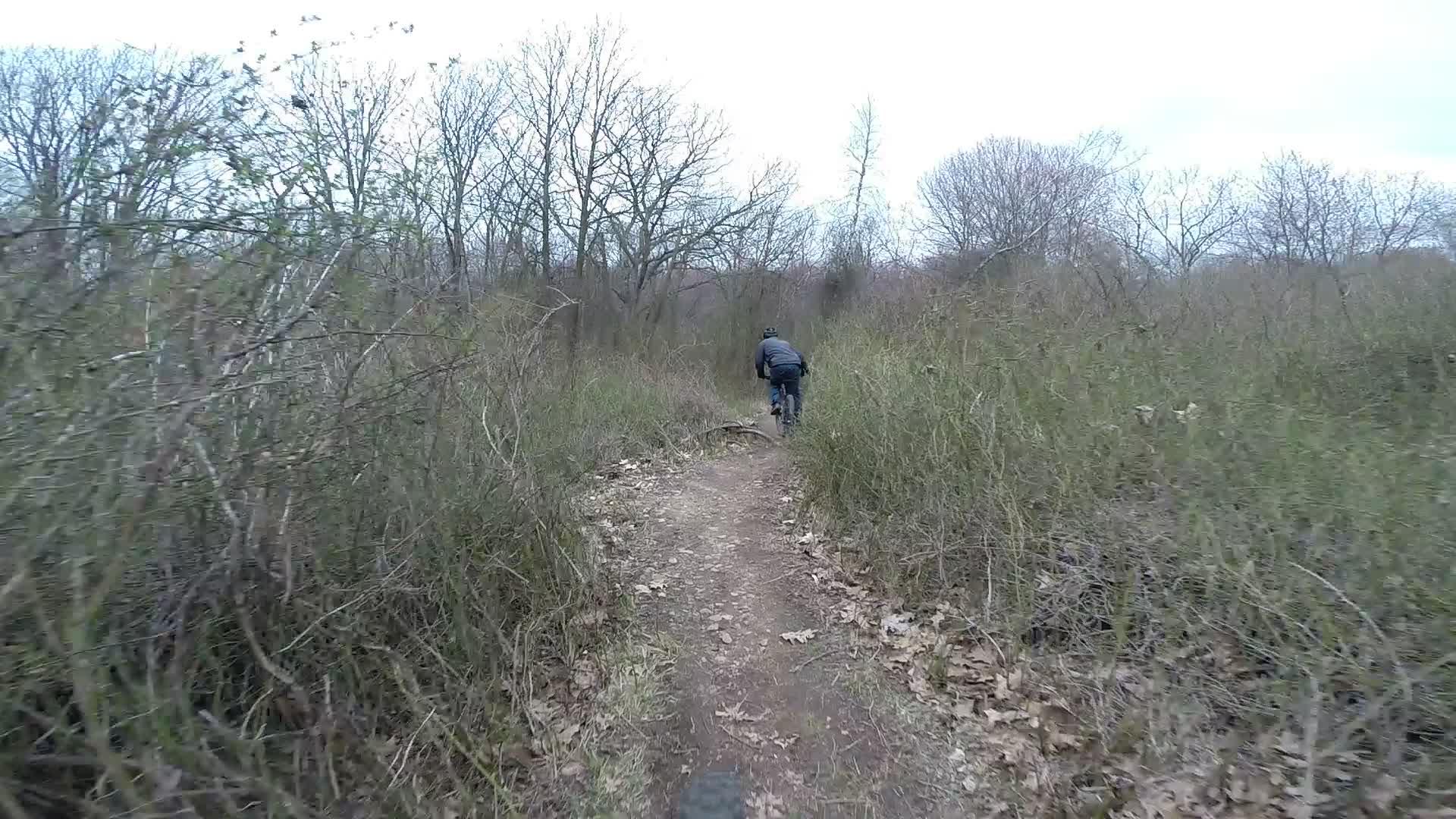 A person riding a bicycle along a narrow, winding dirt trail surrounded by overgrown vegetation and bare trees on a cloudy day. Richmond Avenue and Forest Hill road mountain bike trail.