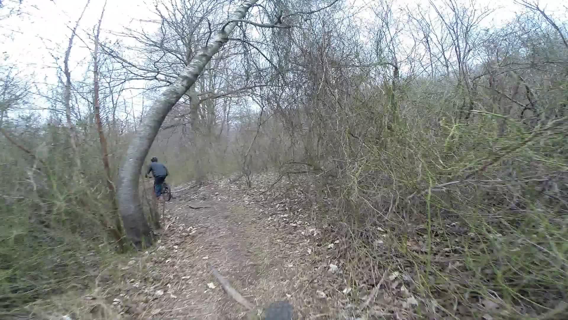 A cyclist riding down a narrow dirt path surrounded by bare trees and brush, with a fallen tree arching over the trail. The scene is slightly overcast, indicating a cool, damp atmosphere in a natural setting. Richmond Avenue and Forest Hill road mountain bike trail.