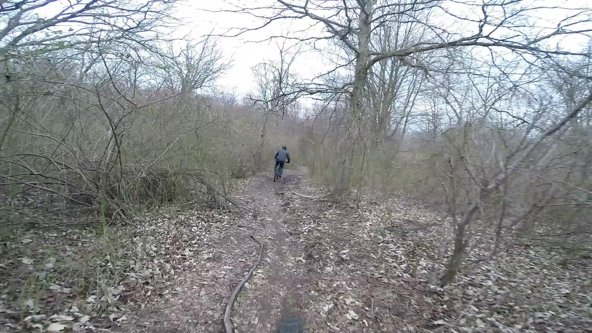 A cyclist riding along a narrow dirt path through a wooded area in early spring. The trail is surrounded by sparse trees and shrubs, with fallen leaves scattered on the ground. The sky is overcast, creating a muted and tranquil atmosphere. Richmond Avenue and Forest Hill road mountain bike trail.