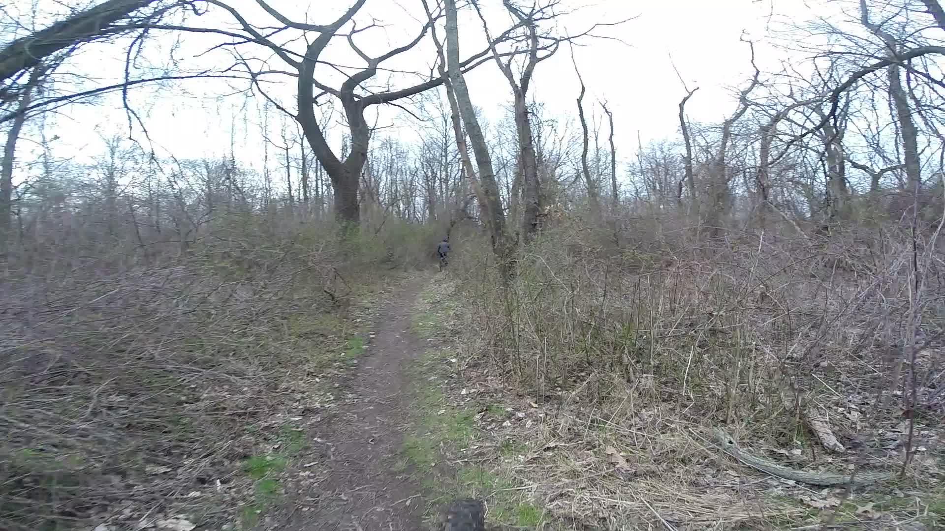 A narrow dirt path winding through a densely wooded area with bare trees and bushes during early spring. A person is seen walking along the trail in the distance, surrounded by foliage. The sky appears overcast, creating a tranquil, natural setting. Richmond Avenue and Forest Hill road mountain bike trail.