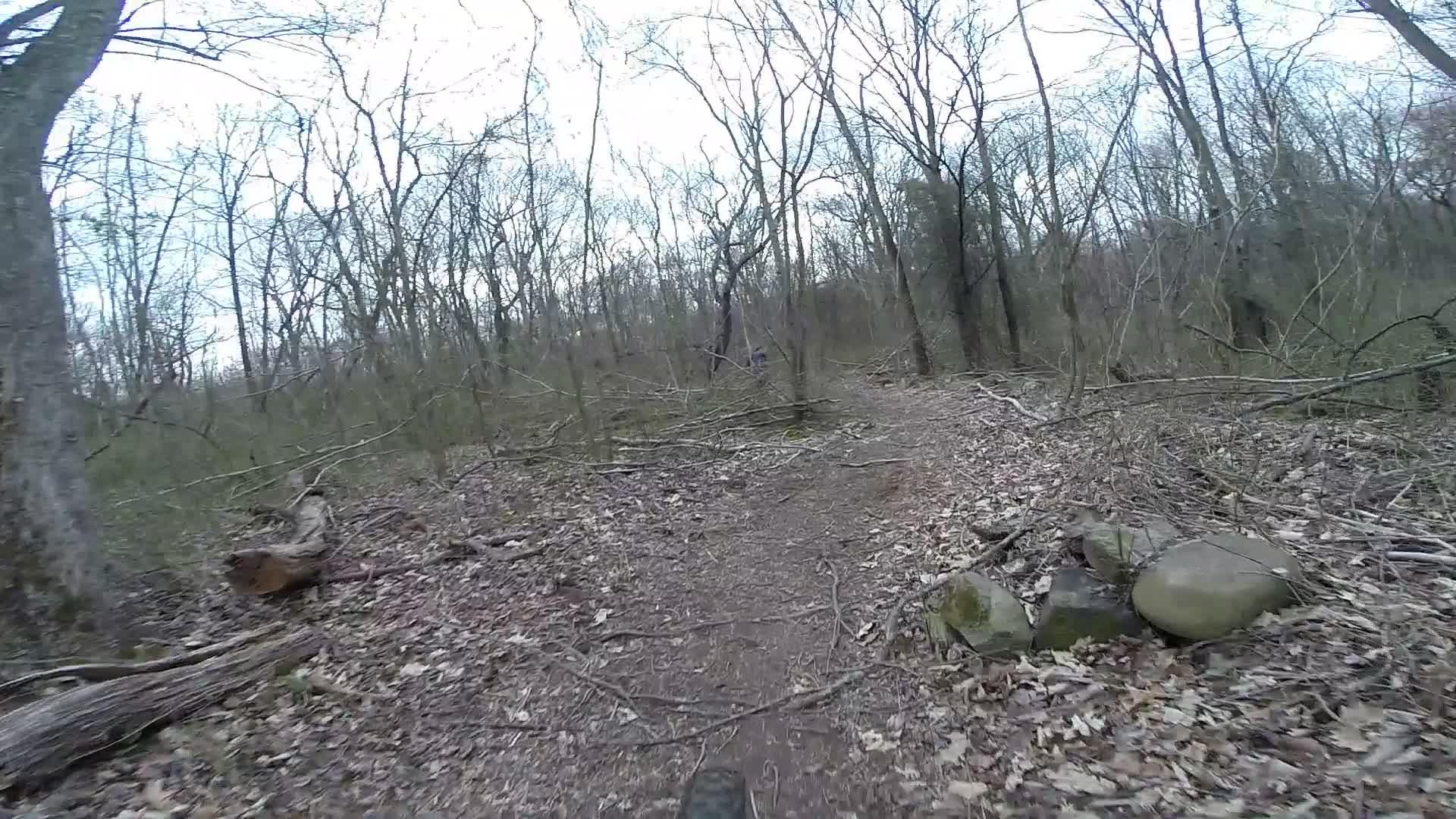 A winding dirt trail through a forest, surrounded by bare trees and scattered leaves. Some fallen branches and rocks are visible along the path, under a cloudy sky. Richmond Avenue and Forest Hill road mountain bike trail.