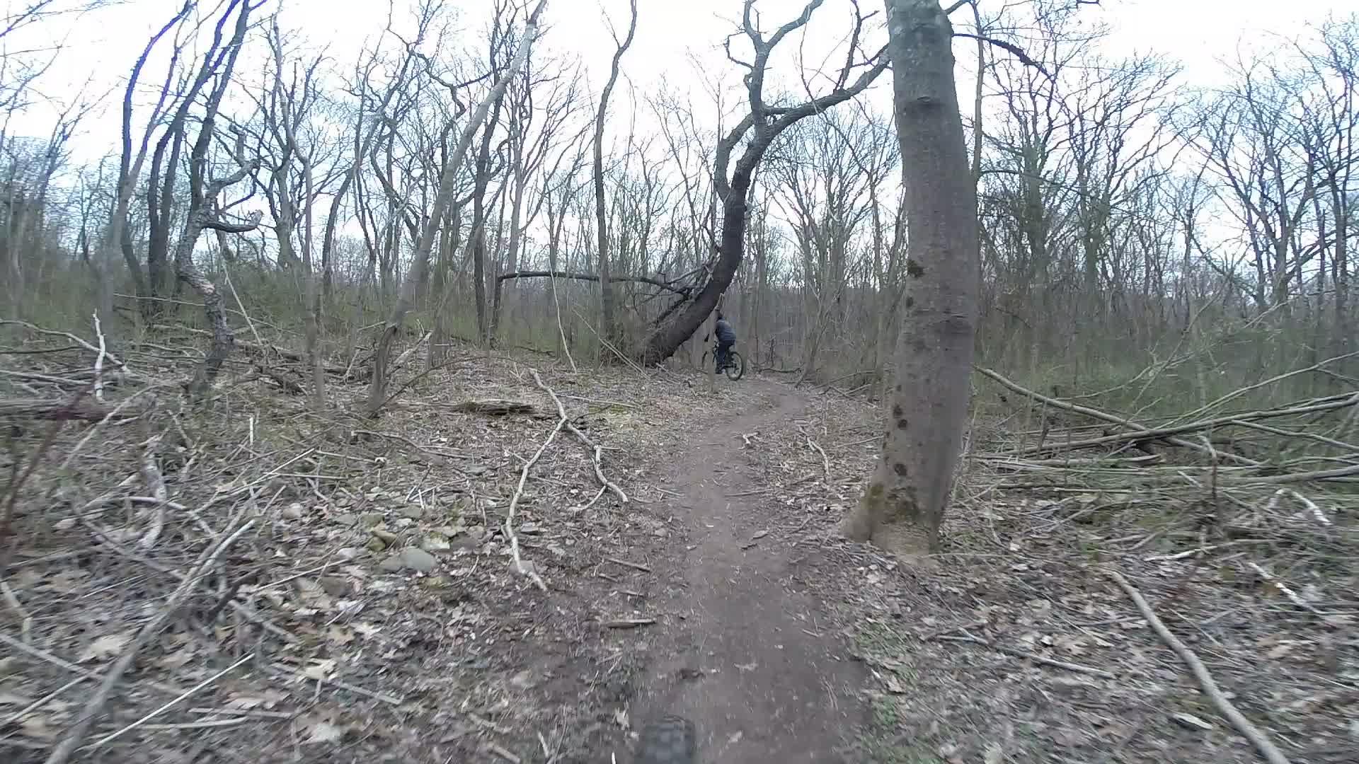 A narrow dirt path winding through a forest with scattered fallen branches and leaves. A cyclist in the background rides past a large, leaning tree on the left, surrounded by bare tree trunks and sparse greenery typical of early spring. Richmond Avenue and Forest Hill road mountain bike trail.