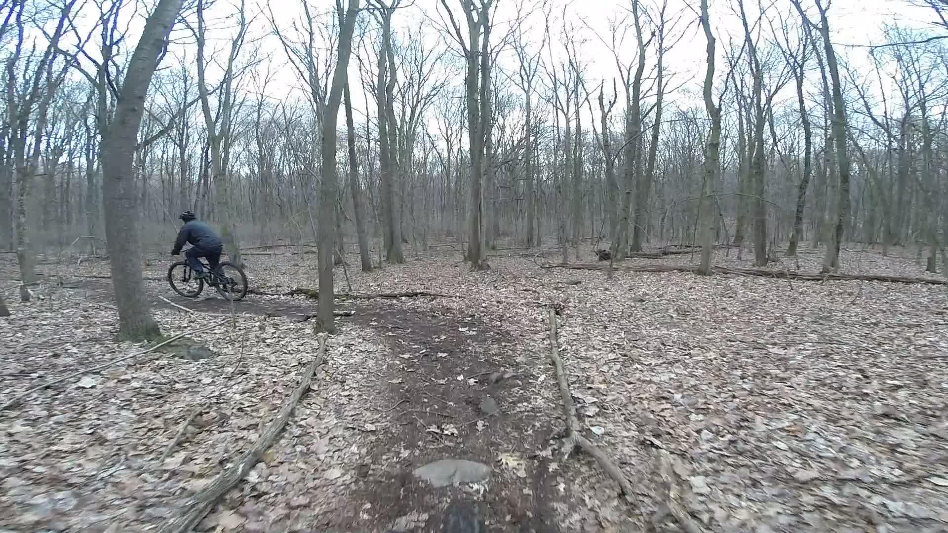 A cyclist riding a mountain bike along a dirt trail surrounded by bare trees in a wooded area, with fallen leaves covering the ground. Richmond Avenue and Forest Hill road mountain bike trail.
