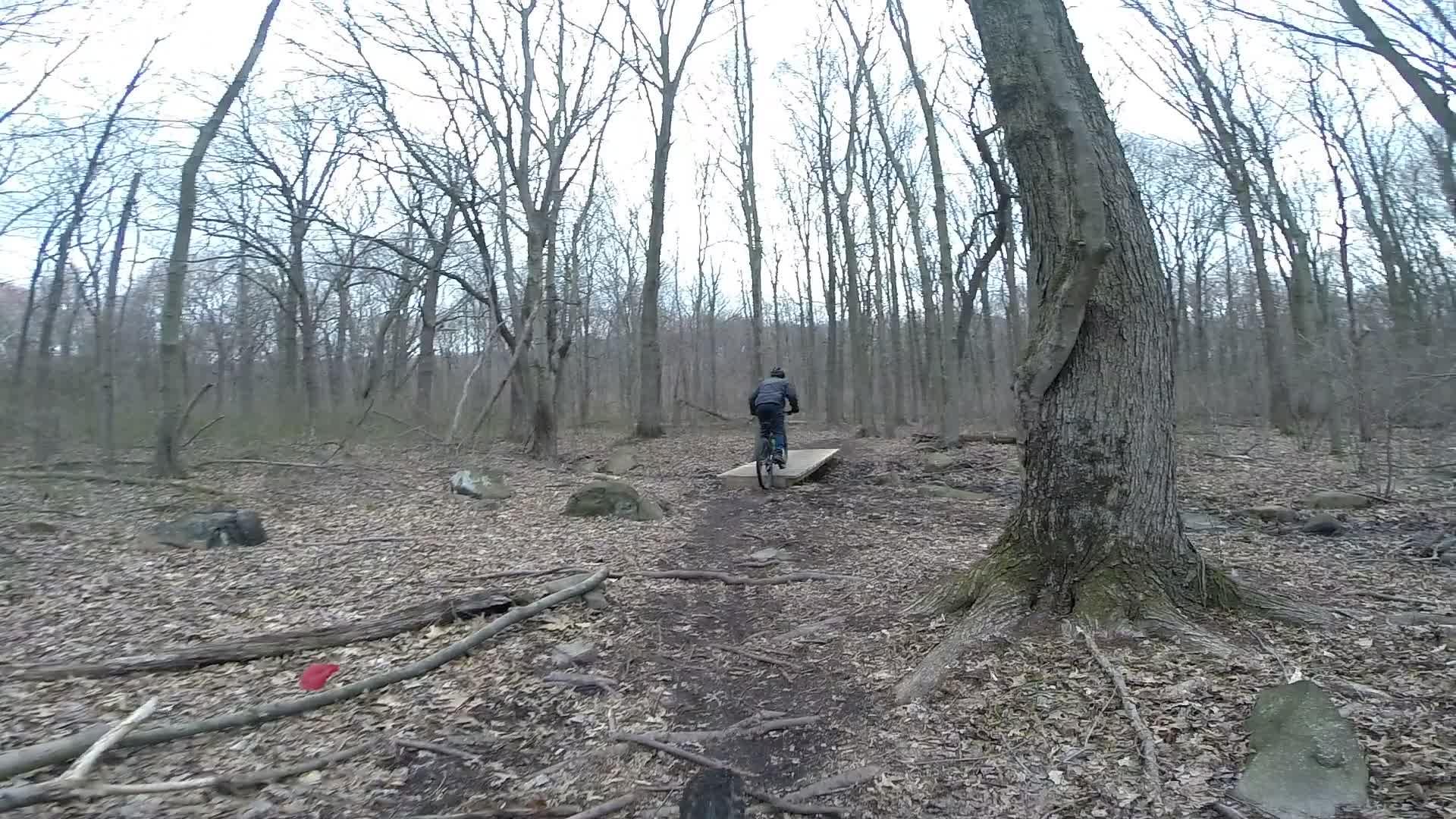 A person riding a mountain bike on a dirt trail surrounded by bare trees in a forest during early spring. The trail has a wooden ramp ahead, and the ground is covered with fallen leaves and branches. Richmond Avenue and Forest Hill road mountain bike trail.