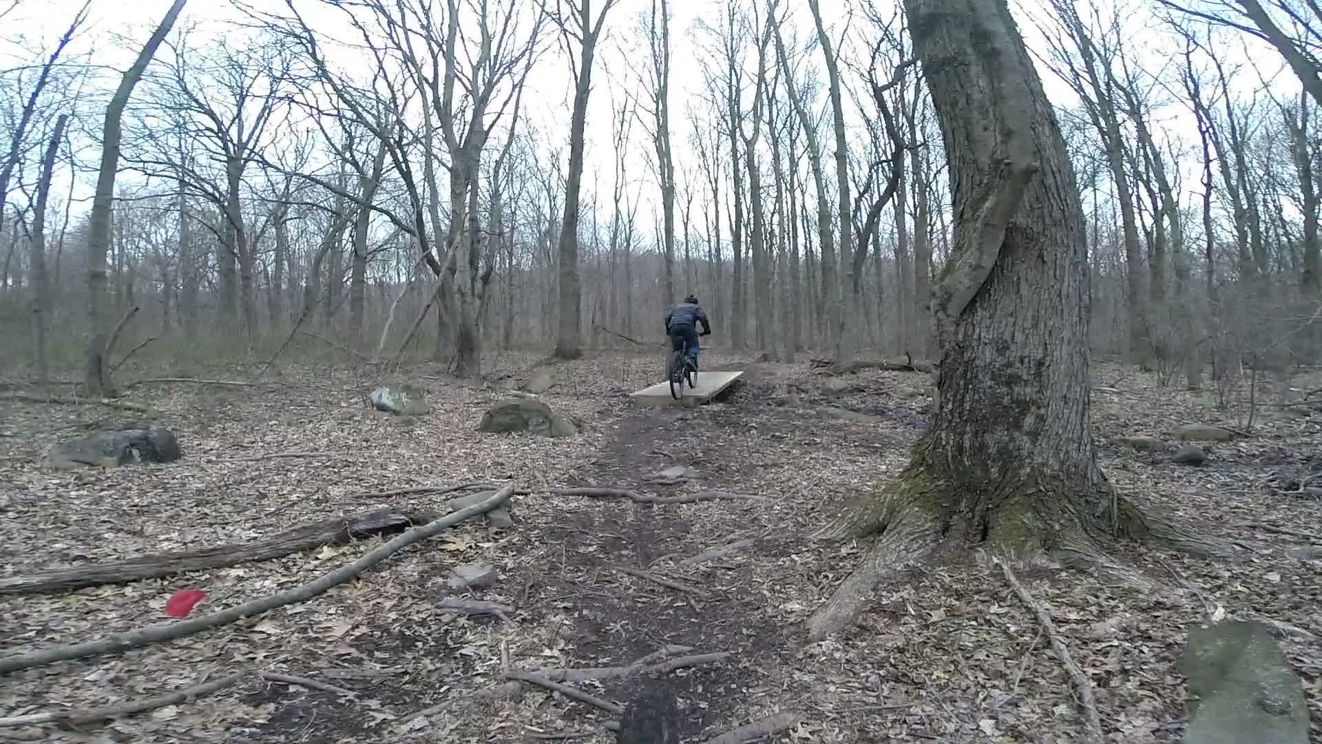 A mountain biker navigating a wooden ramp in a forested area, surrounded by bare trees and scattered rocks, with a ground covered in leaves and branches. Richmond Avenue and Forest Hill road mountain bike trail.