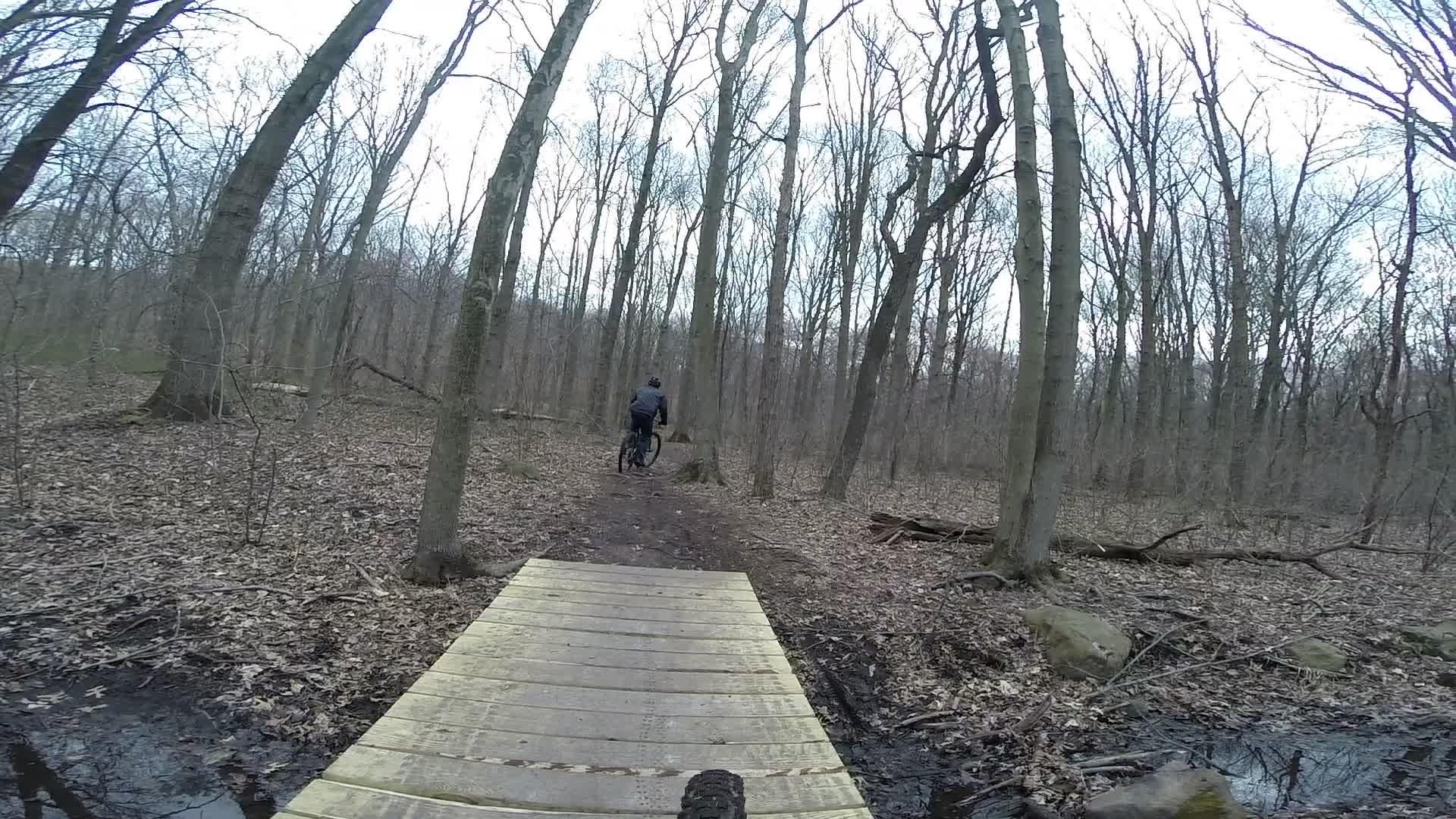 A cyclist riding on a wooden bridge over a small stream in a wooded area with bare trees and fallen leaves on the ground. The scene captures a peaceful moment in nature during the early spring. Richmond Avenue and Forest Hill road mountain bike trail.