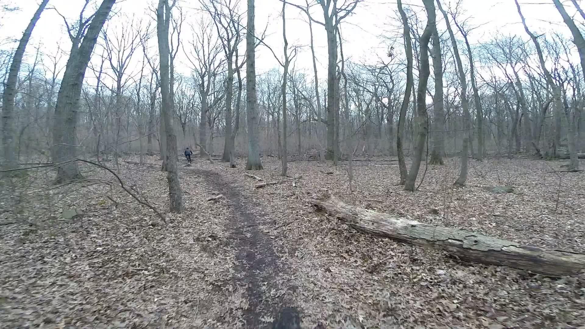 A narrow dirt path meanders through a wooded area with bare trees and scattered fallen leaves. In the distance, a person rides a bike along the trail. Richmond Avenue and Forest Hill road mountain bike trail.