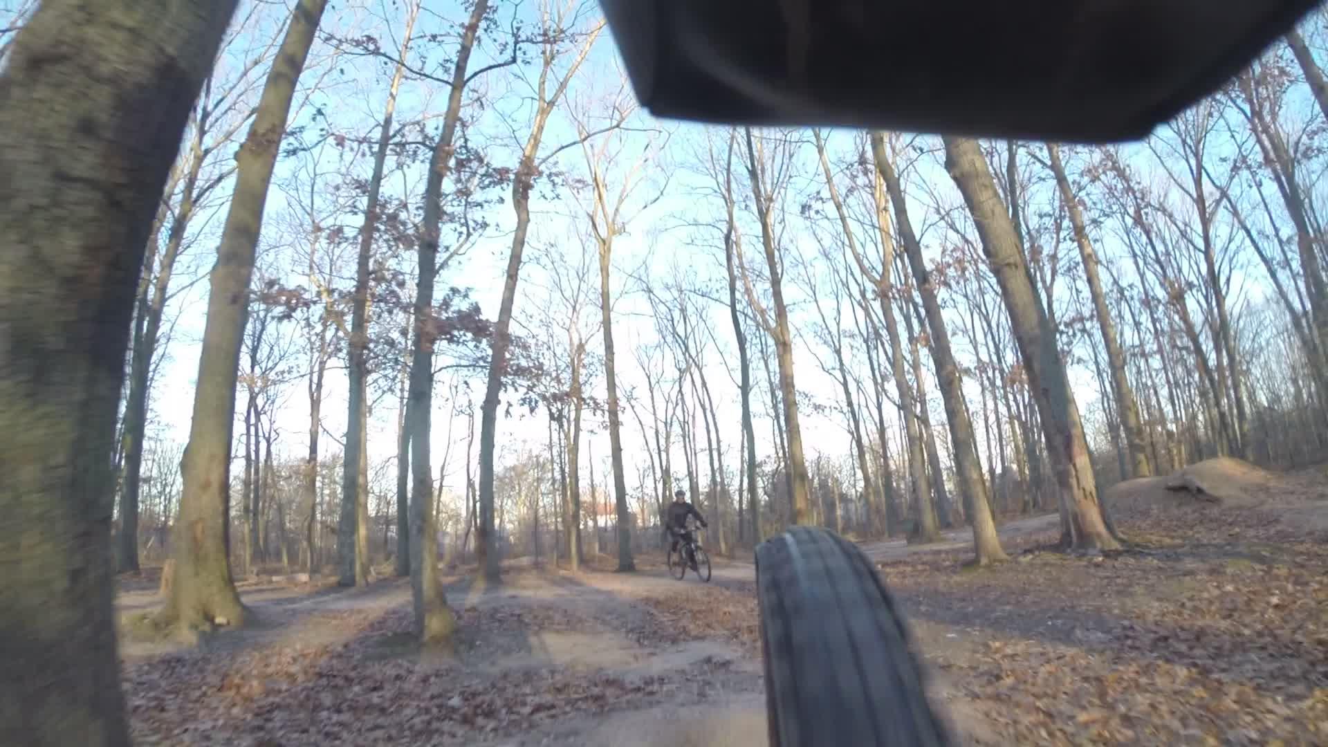 A low-angle view of a mountain bike tire riding along a dirt trail surrounded by tall, bare trees in a forest setting. The path is covered with fallen leaves, and another cyclist is visible in the background. The scene captures a sense of movement and the natural environment during a clear day. Wolfes Pond park mountain bike trail.