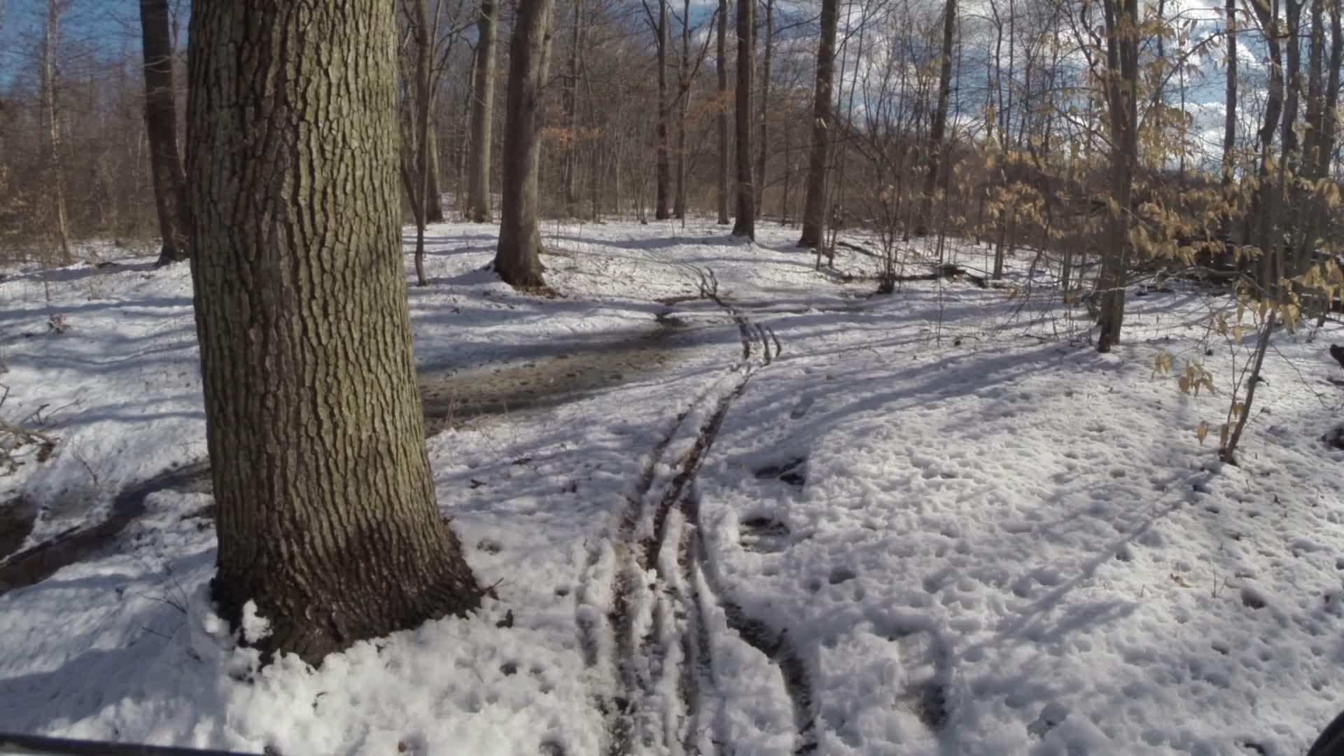 A winter forest scene featuring a snow-covered ground with visible tire tracks winding through the trees. Tall trees stand in the background against a partly cloudy sky. The image captures the serene and calm atmosphere of a snowy woodland. Trails seperated by streets mountain bike trail.