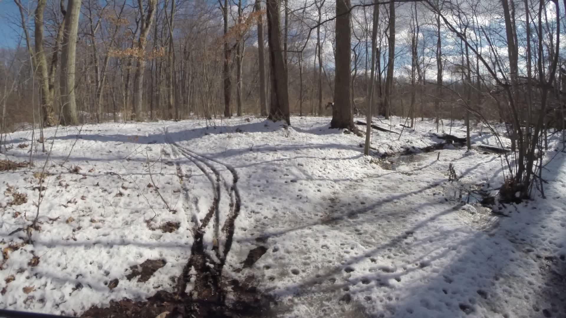 A snowy forest scene featuring bare trees under a clear blue sky. The ground is covered in a mix of snow and mud, with visible tracks leading through the winter landscape. Soft shadows are cast by the trees, creating a serene and peaceful atmosphere. Trails seperated by streets mountain bike trail.