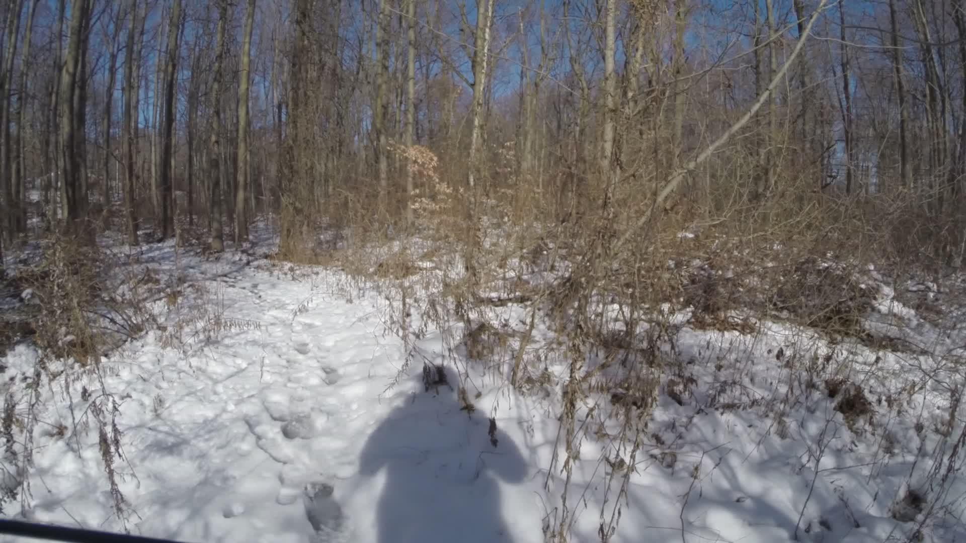 A snowy path winding through a forest with bare trees on either side and a clear blue sky above. Footprints are visible in the snow, indicating previous travelers. The scene conveys a peaceful winter atmosphere. Trails seperated by streets mountain bike trail.