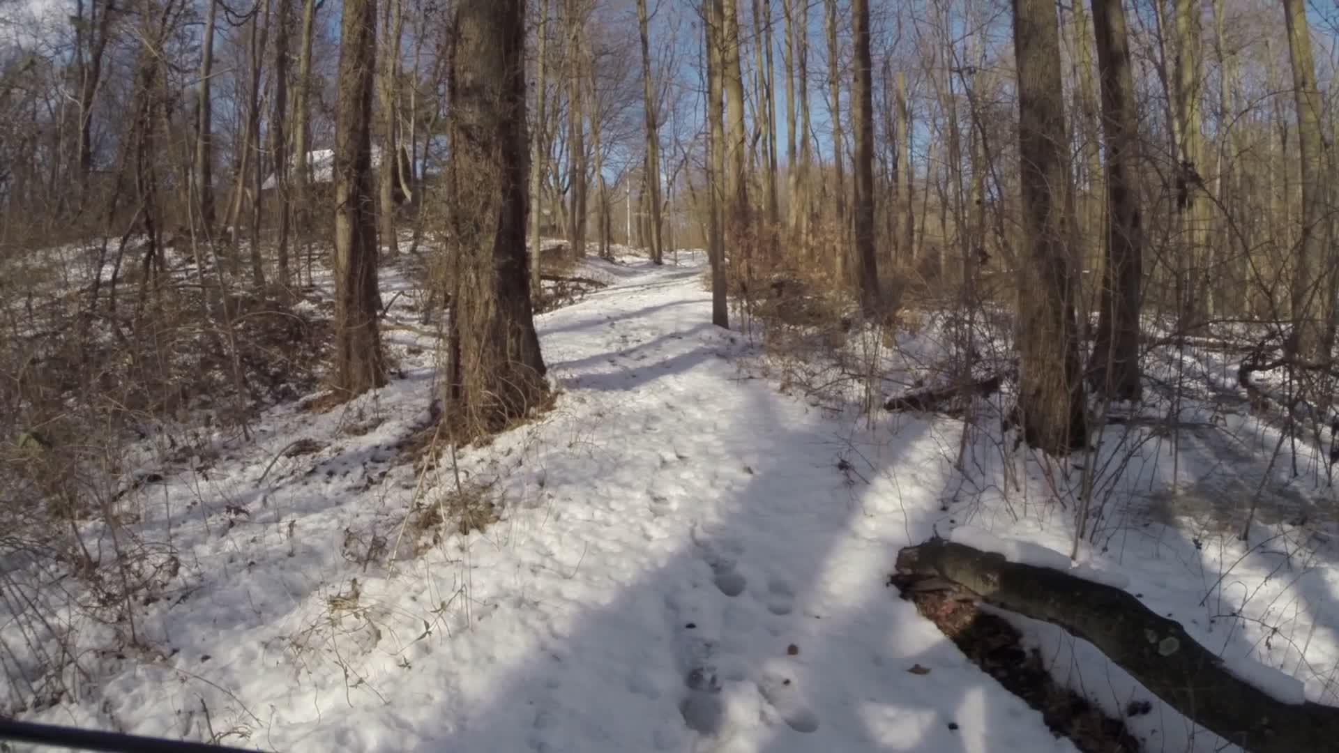 A snow-covered trail winding through a deciduous forest, with tall trees and shadows cast on the ground. The scene is bright with clear blue skies visible above. Snow blankets the ground, showing footprints leading into the distance. Trails seperated by streets mountain bike trail.