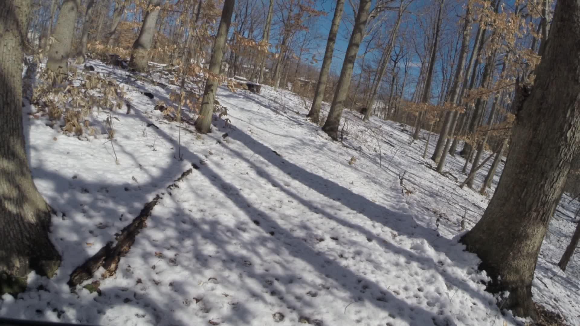 A snowy forest scene with bare trees and patches of sunlight on the ground. The ground is covered in soft, white snow, while shadows from the trees create a dappled effect. The scene captures a peaceful winter atmosphere, with scattered leaves and twigs visible among the snow. Trails seperated by streets mountain bike trail.
