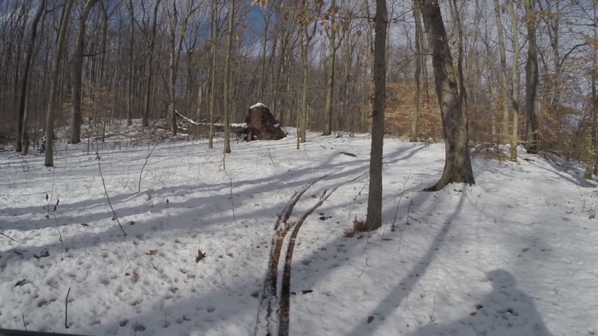 A snowy forest scene featuring bare trees and footprints in the snow, with a fallen log partially visible in the background. Sunlight casts shadows across the white snow, creating a tranquil winter landscape. Trails seperated by streets mountain bike trail.