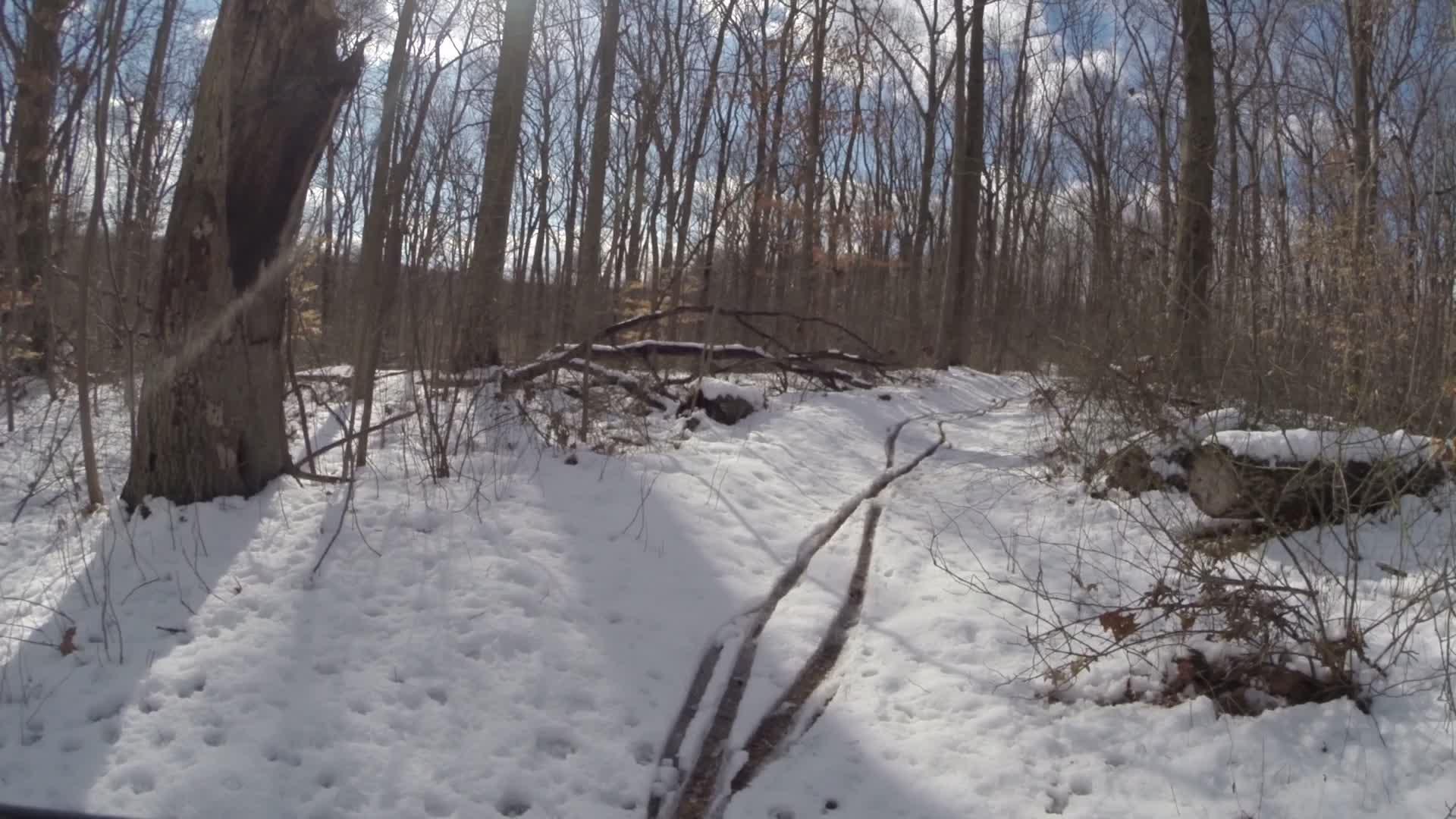A snow-covered forest path with visible tree trunks and branches scattered throughout the scene, under a bright, partly cloudy sky. Trails seperated by streets mountain bike trail.