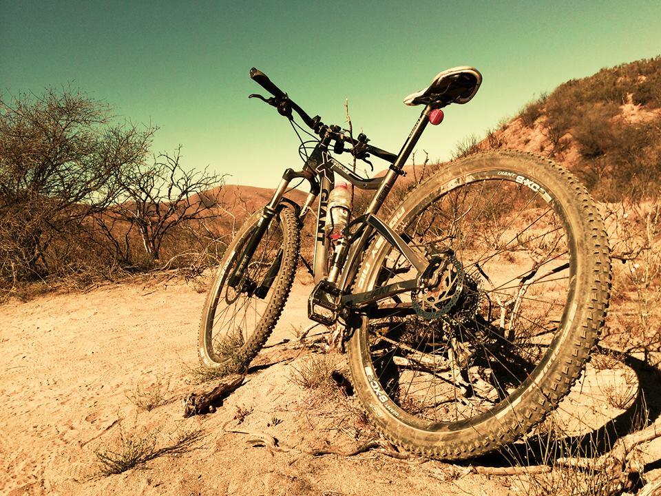 Giant Trance X 29er: A mountain bike resting on sandy terrain, surrounded by sparse vegetation and hills in the background. The bike features a rugged frame, thick tires, and a water bottle attached to the frame, indicating it's designed for outdoor adventures. The scene is set against a clear blue sky.