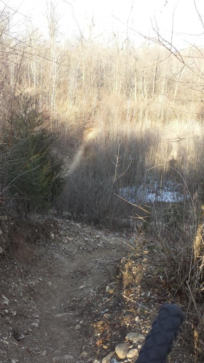 A rocky downhill path leading through sparse trees and brush, with a small stream visible in the distance. The scene is illuminated by natural light, creating a peaceful outdoor setting. Saw Wee Kee Park mountain bike trail.