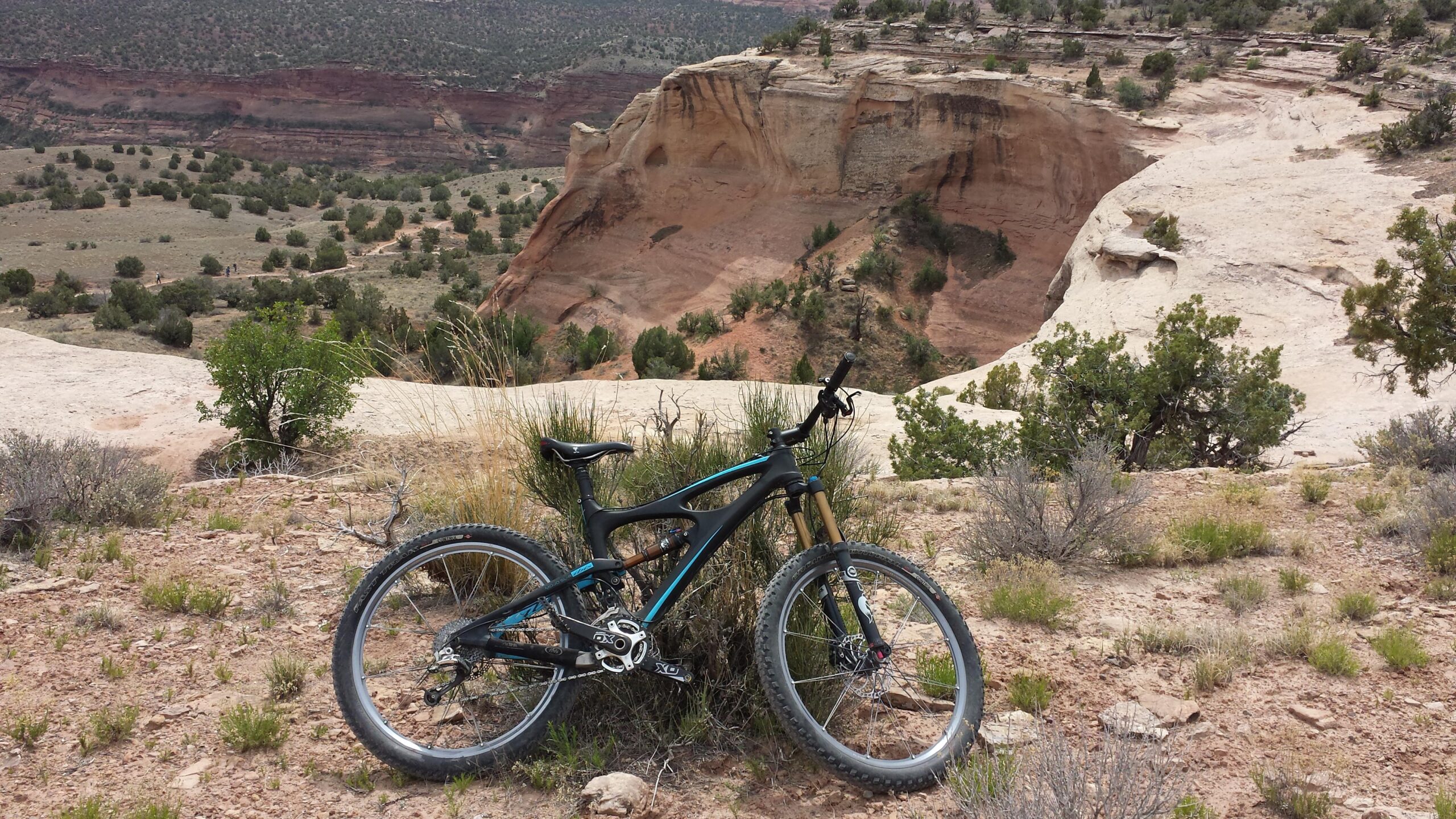 Ibis Mojo SL-R: A mountain bike resting on rocky terrain with shrubs and grasses, overlooking a canyon filled with vegetation and layered rock formations under a cloudy sky.