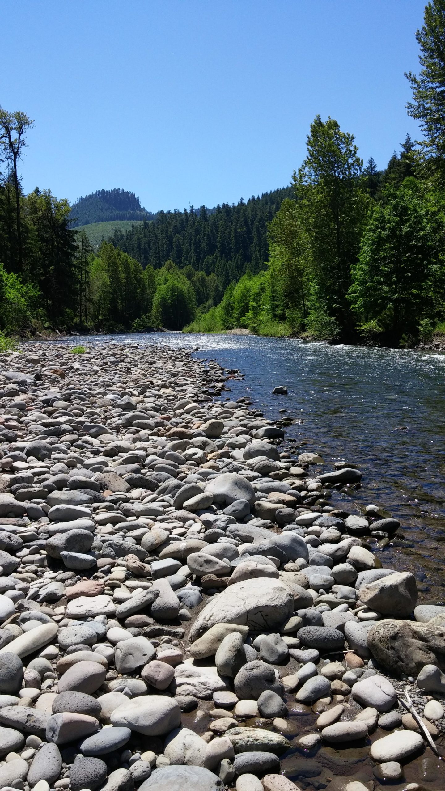 A clear blue sky over a flowing river bordered by smooth, rounded stones. Lush green trees line the riverbanks, and rolling hills are visible in the background. The scene captures a tranquil natural landscape. Middle Fork Trail mountain bike trail.