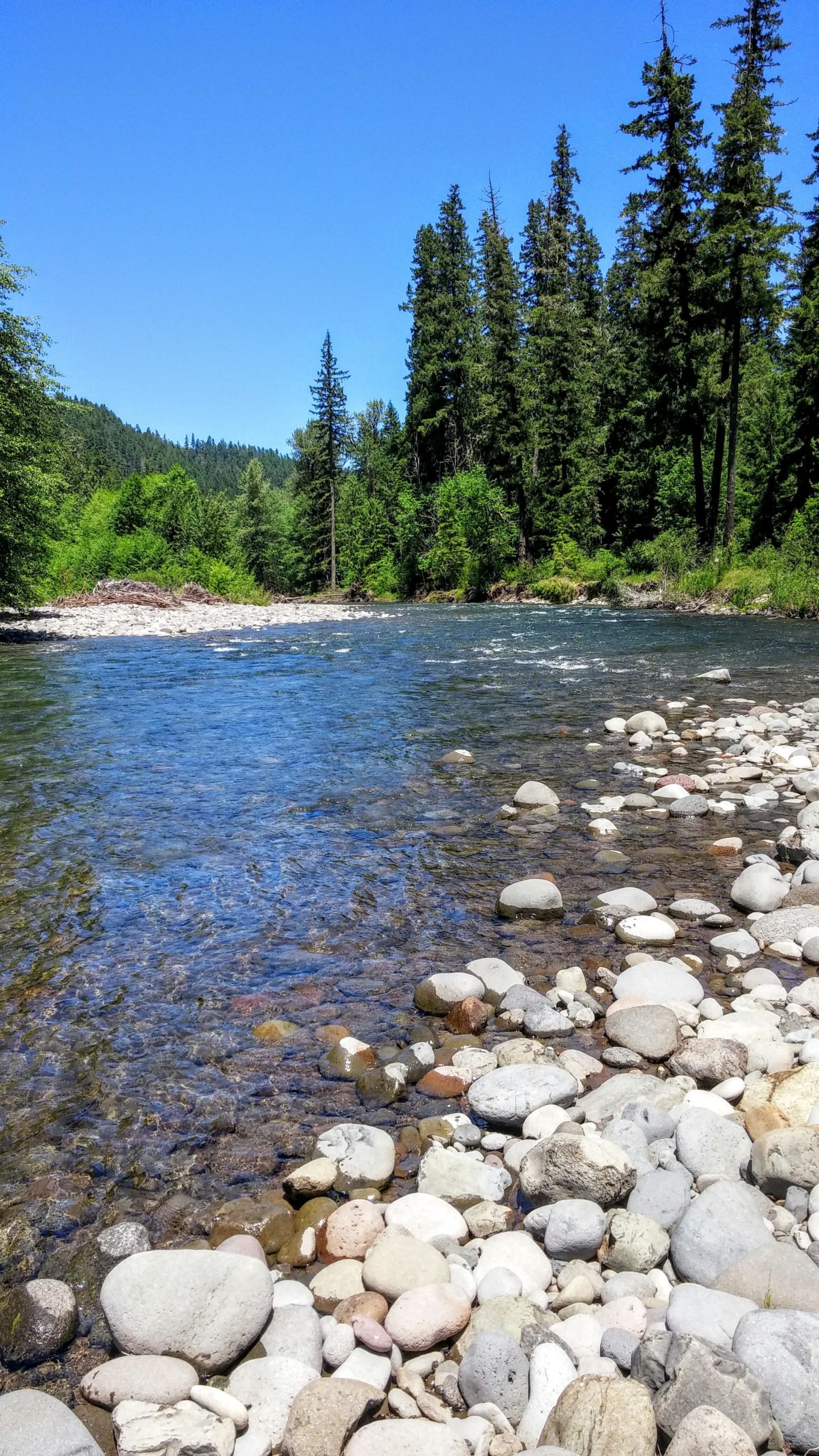 A serene river scene featuring clear water flowing smoothly over a bed of rounded stones. Lush green trees line the banks under a bright blue sky, creating a tranquil natural setting. Middle Fork Trail mountain bike trail.