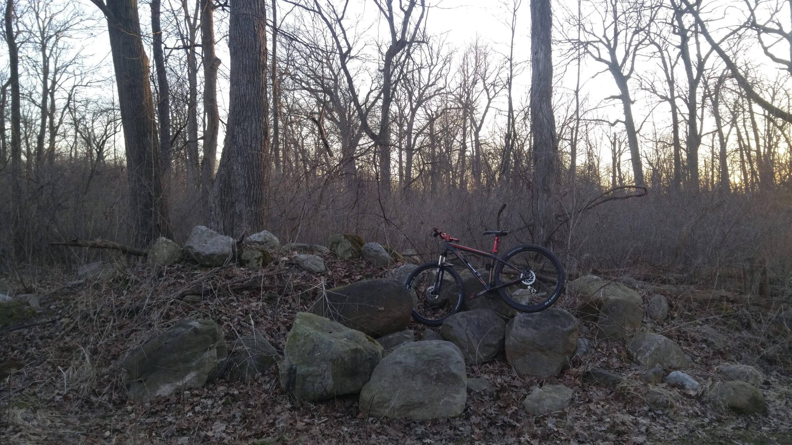 A mountain bike resting on a pile of rocks in a wooded area during late afternoon, with bare trees and sparse underbrush in the background. The scene captures a tranquil and natural environment. Elizabeth Park Clydesdale Loop mountain bike trail.