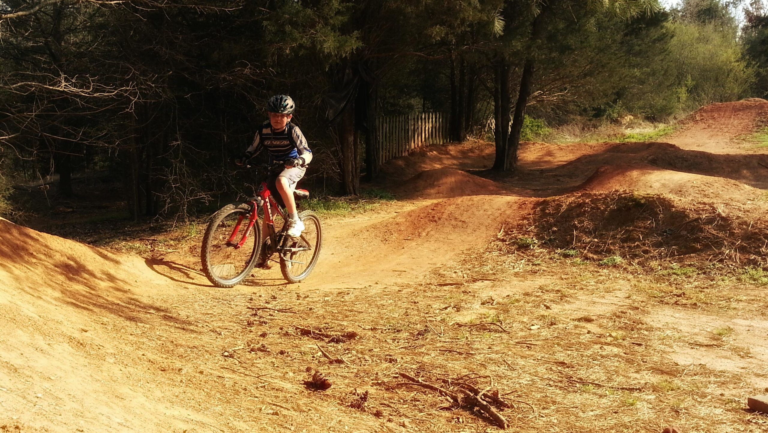 A young cyclist is riding a red mountain bike on a dirt track surrounded by trees. The track features gentle slopes and hills, indicating a biking trail designed for skill development. Sunlight filters through the trees, casting shadows on the ground. Signal Hill mountain bike trail.