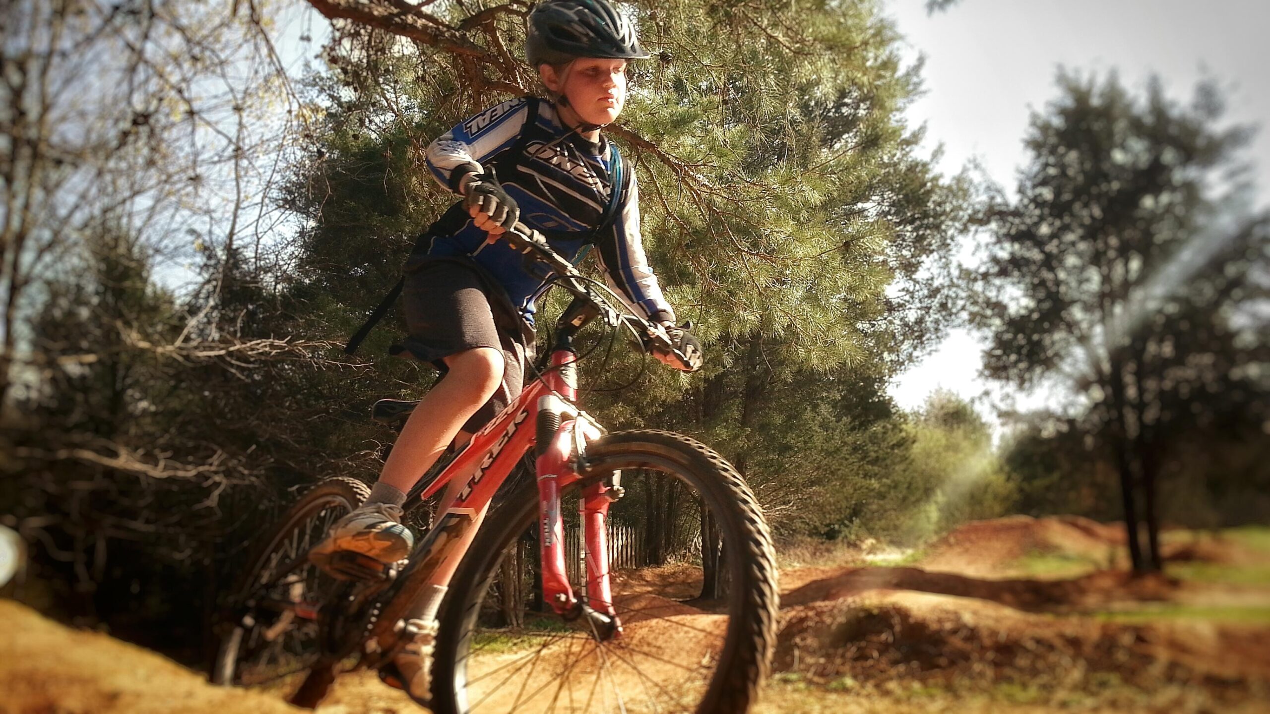 A young rider in a blue cycling jersey and helmet navigates a trail on a red mountain bike, leaping over a small jump surrounded by trees and greenery. Signal Hill mountain bike trail.