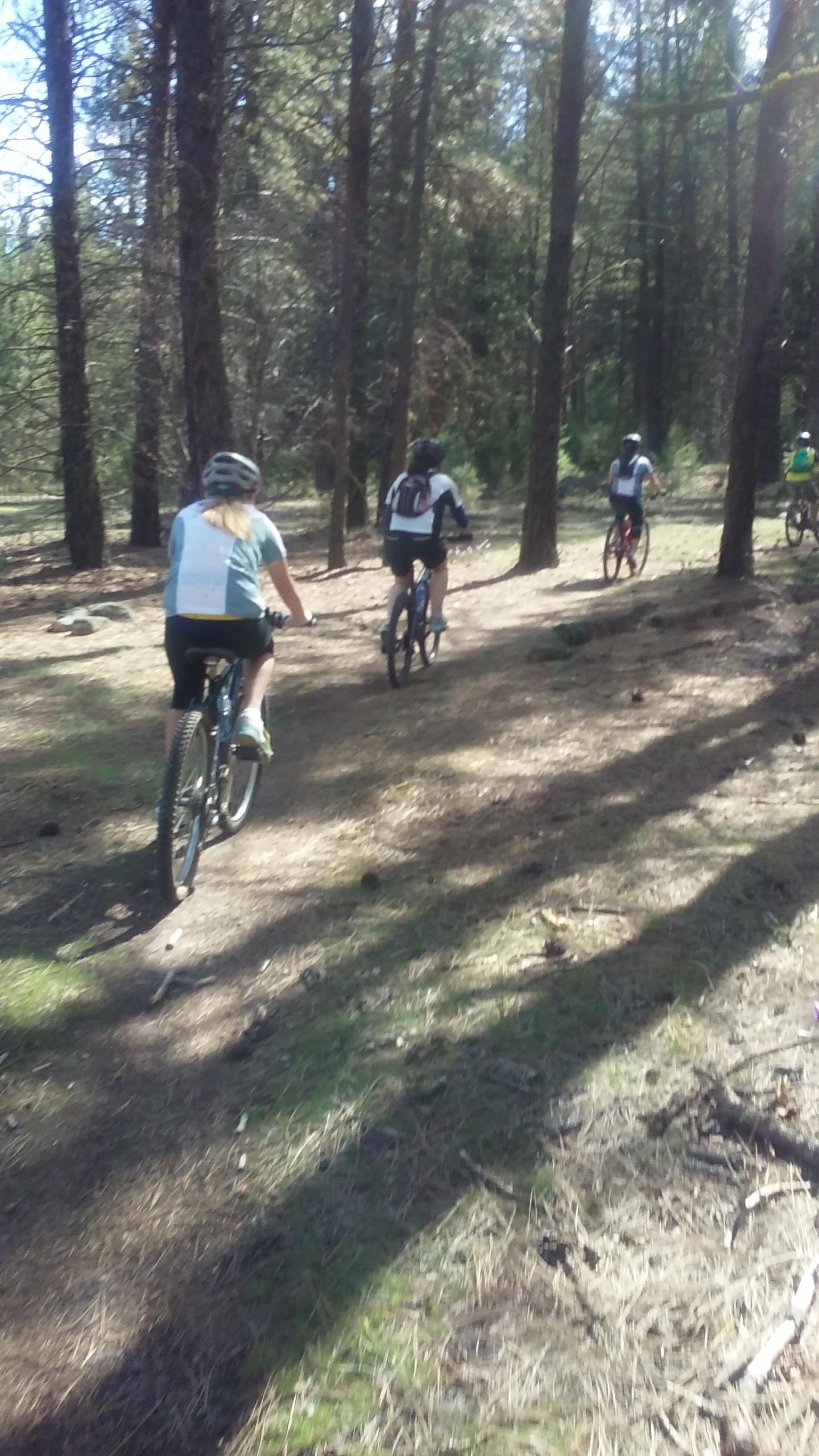 A group of mountain bikers riding along a narrow trail in a forest, surrounded by tall trees and dappled sunlight. The cyclists are wearing helmets and athletic clothing, and their bicycles are designed for off-road terrain. Pine needles and small rocks are visible on the trail.