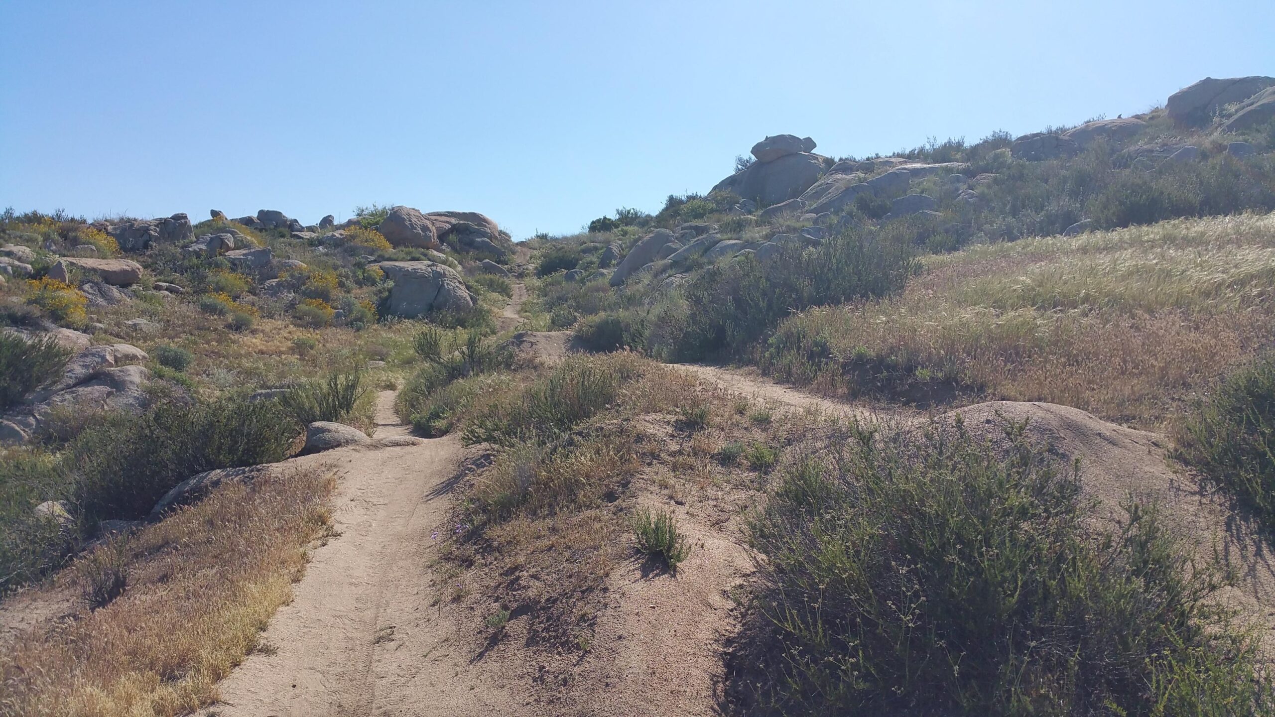 A rocky hillside with a sandy path winding through sparse vegetation and dry grasses under a clear blue sky. Simpson Park mountain bike trail.