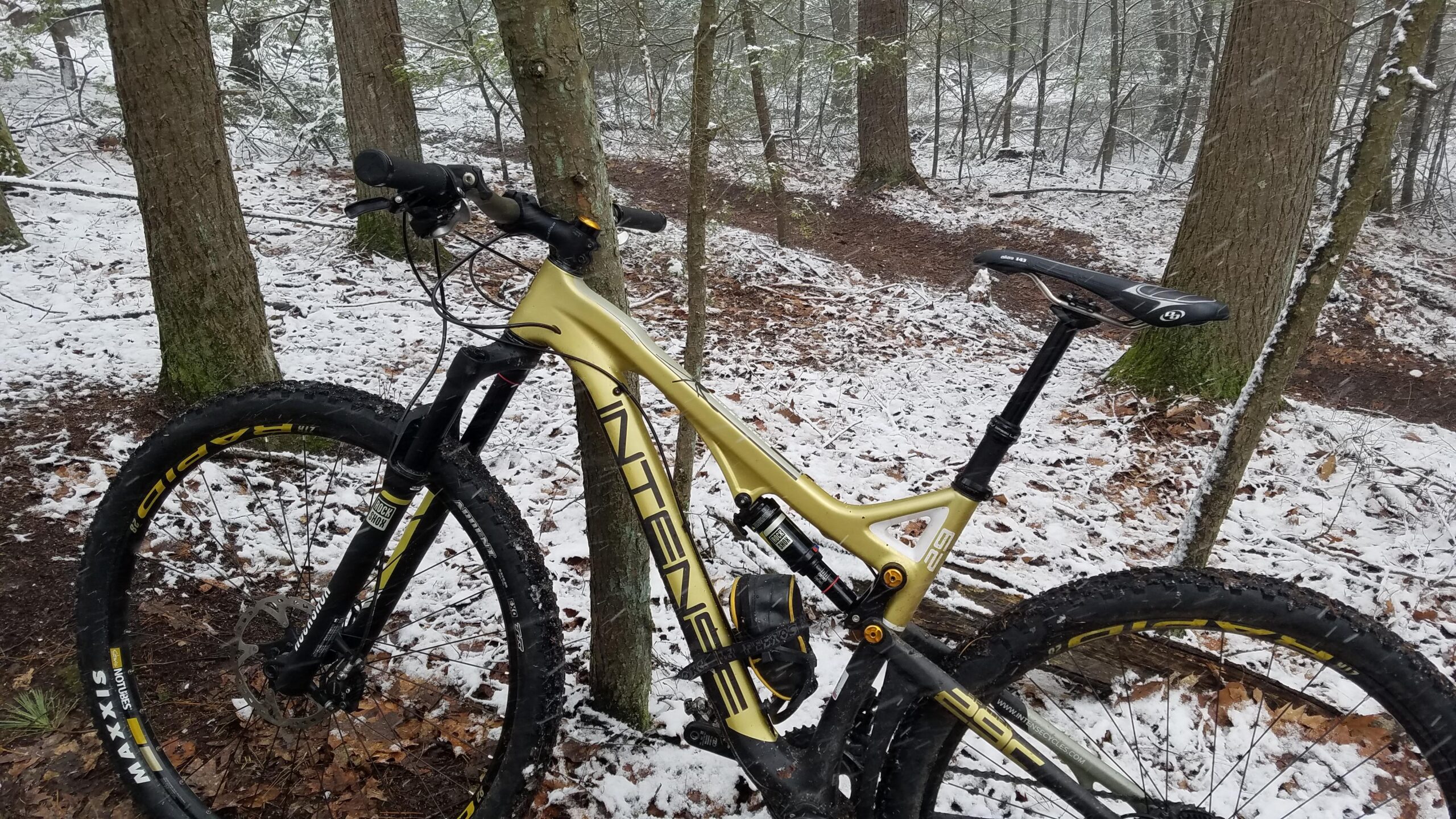 Intense Spider 29: A mountain bike leaning against a tree in a snowy forest setting, with a snow-covered ground and a winding trail visible in the background. The bike features a gold frame and dark tires, surrounded by trees and fallen leaves.