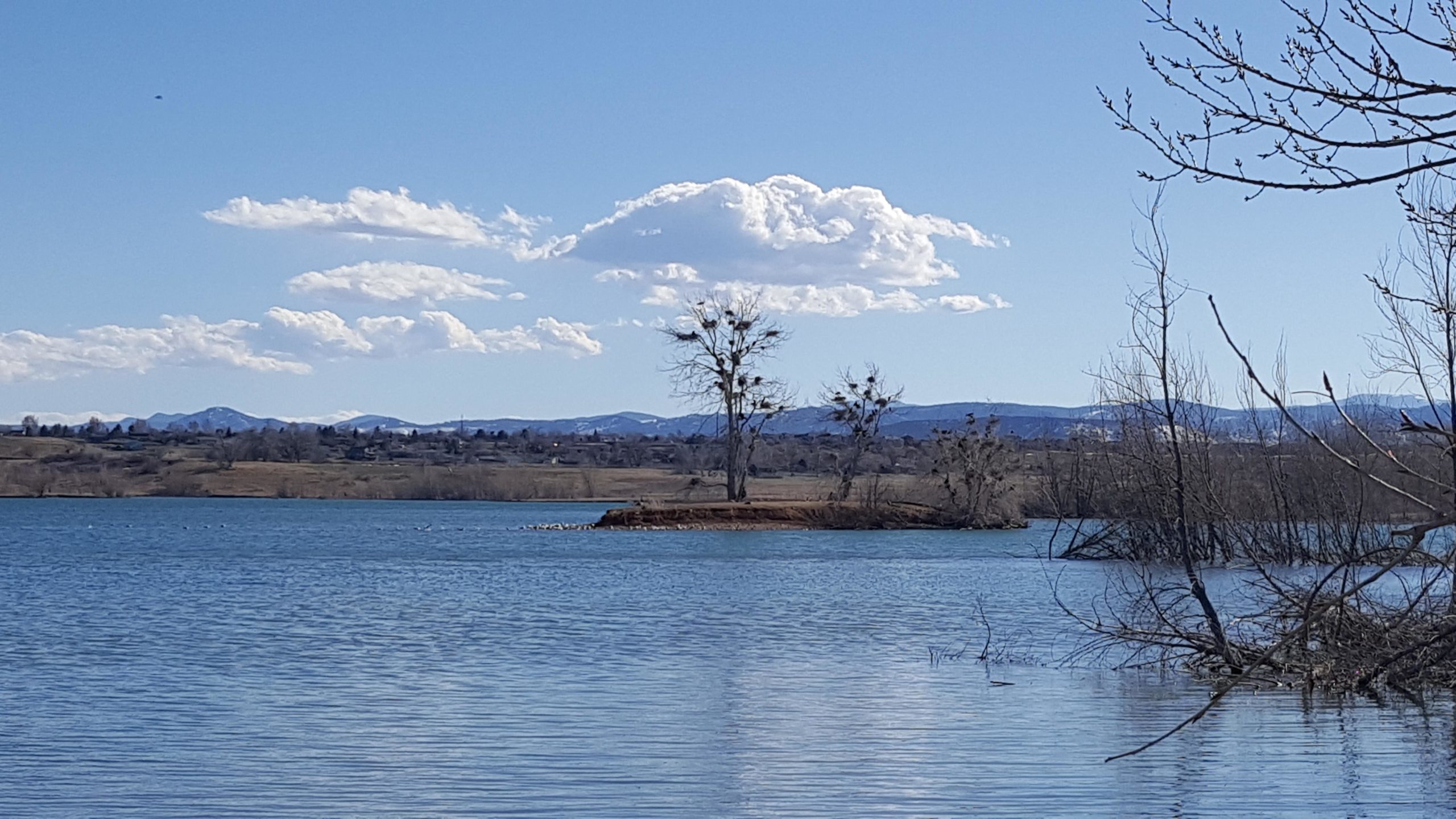 A serene landscape featuring a calm lake with an island in the center, showcasing a bare tree with nests. In the background, rolling hills and mountains are visible under a clear blue sky with fluffy clouds. The foreground includes the tranquil water's surface reflecting the sky and surrounding nature. Standley Lake mountain bike trail.