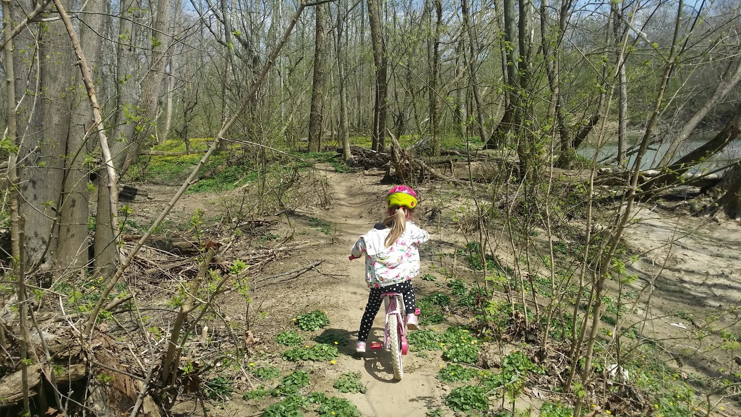 A young child riding a pink bicycle on a dirt path through a wooded area filled with trees and greenery, wearing a colorful helmet and a patterned jacket. The scene captures a sunny day with clear skies and hints of blooming plants. Jim Terrell Park mountain bike trail.