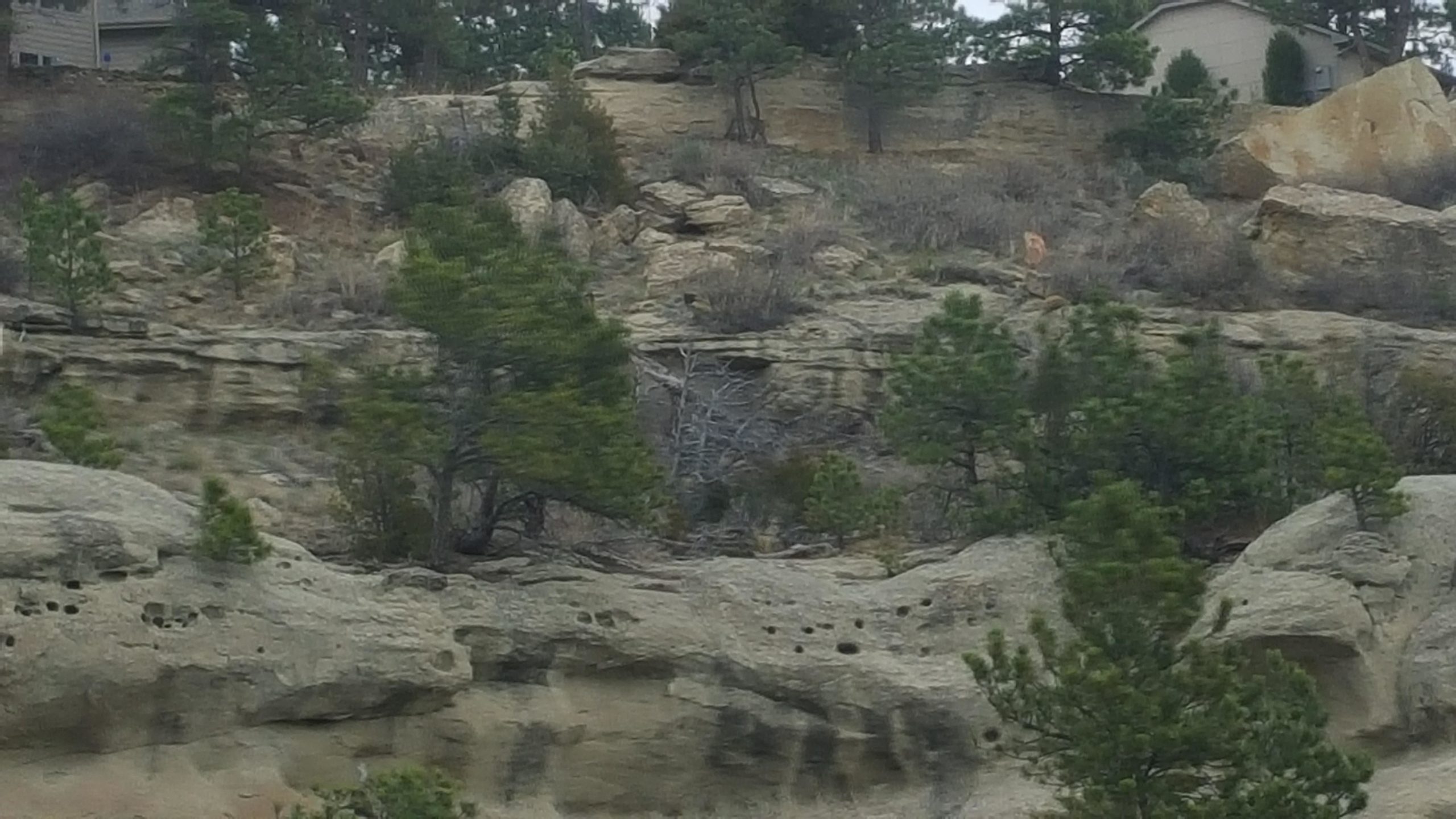 A rocky hillside covered with sparse vegetation and small pine trees, with a house partially visible at the top. The landscape features various rock formations and dry brush, indicative of a natural area. The scene appears overcast, suggesting a calm, subdued atmosphere. Zimmerman Trail mountain bike trail.
