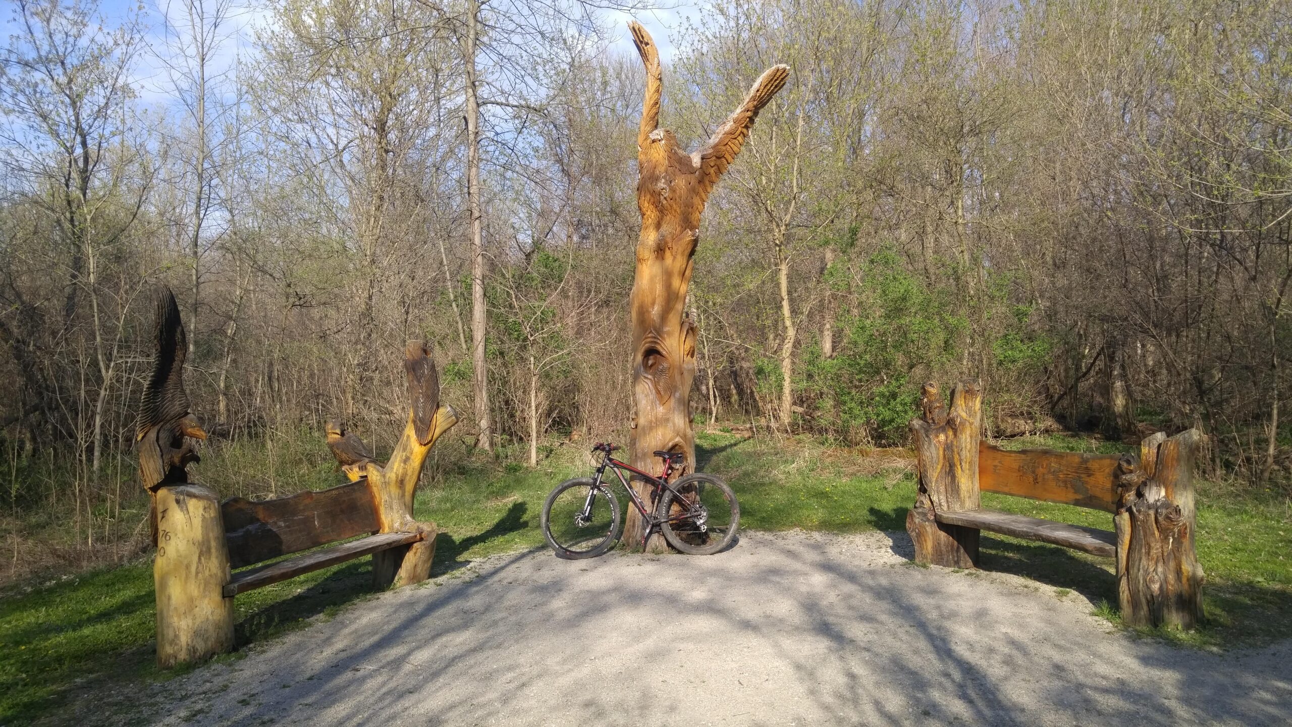 A scenic outdoor area featuring two wooden benches designed with eagle carvings, and a large sculpted tree in the center. A mountain bike is leaning against the tree, surrounded by lush greenery and sparse trees under a clear blue sky. Morton-Taylor Trail mountain bike trail.