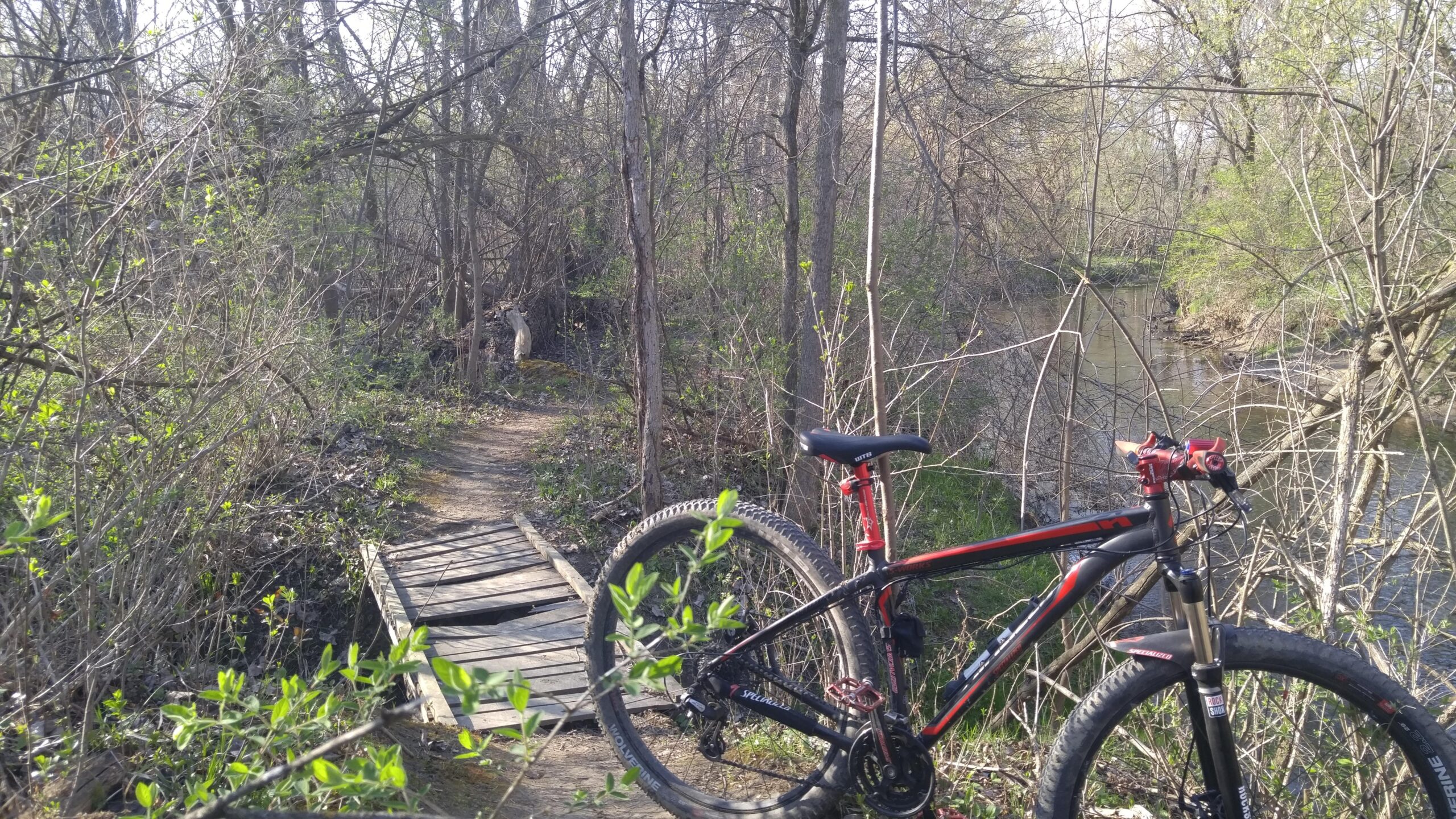 A mountain bike resting on the edge of a wooded path, with a small wooden bridge crossing a stream in the background. Surrounding the bike are budding leaves and a lush, green landscape, suggesting a vibrant spring day in a natural setting. Morton-Taylor Trail mountain bike trail.