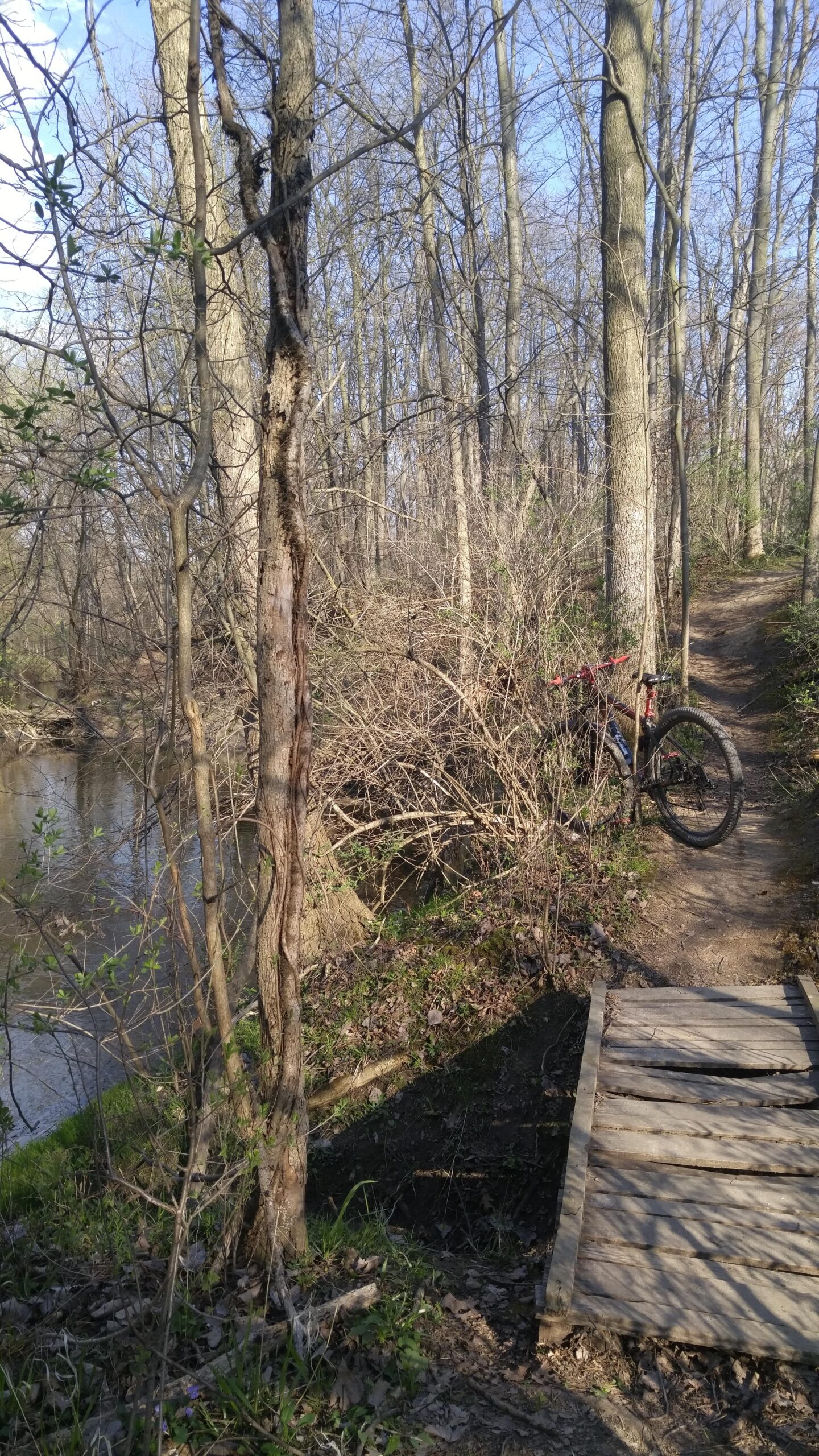 A narrow dirt path winds through a wooded area, with tall, leafless trees lining the sides. A wooden bridge spans a small creek, and a mountain bike is parked nearby, partially obscured by underbrush. The scene is set in early spring, with a clear blue sky visible above. Morton-Taylor Trail mountain bike trail.