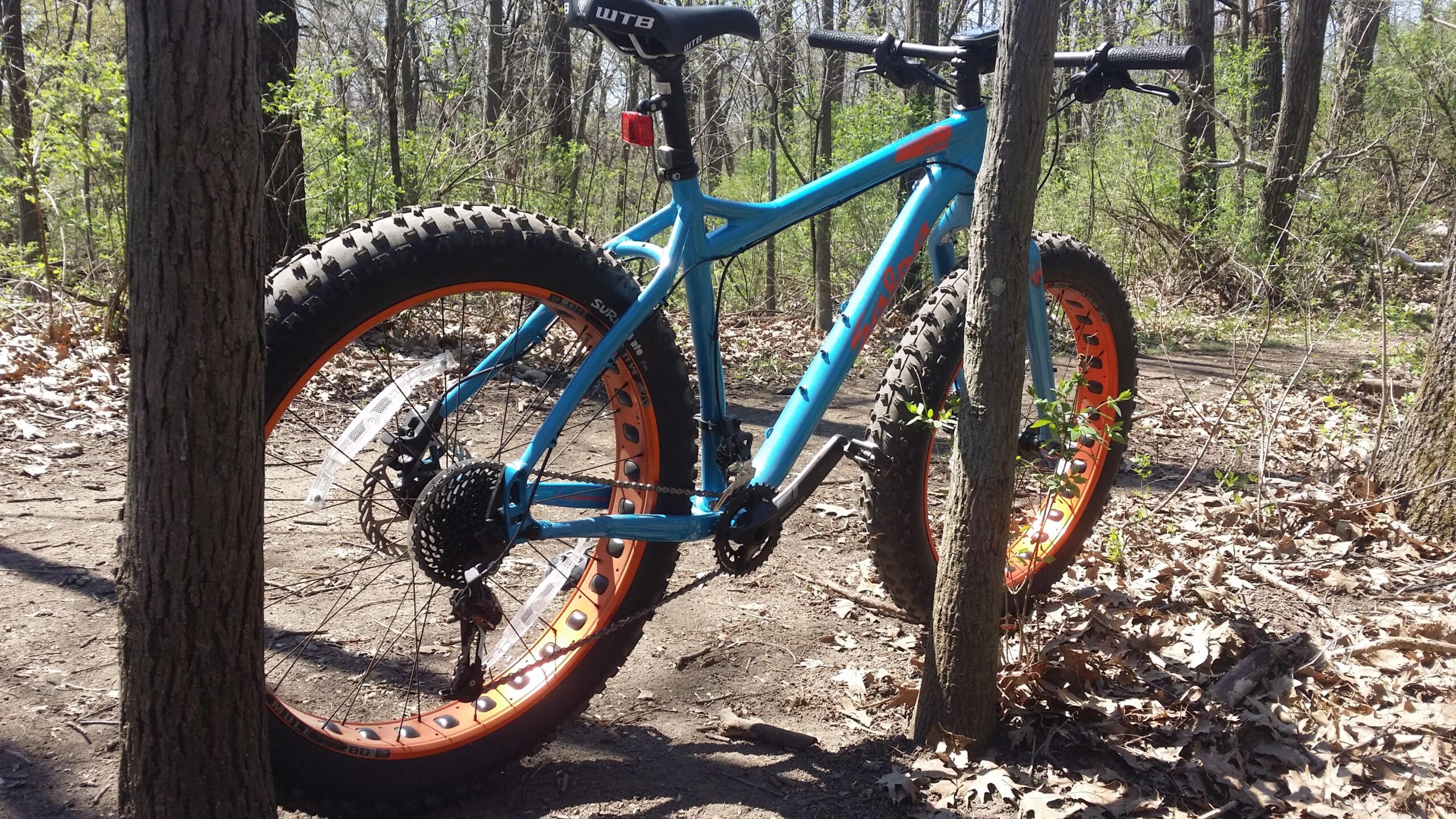 Salsa Mukluk: A blue fat bike with orange rims leaning against a tree in a wooded area. The ground is partially covered with fallen leaves, and there are green plants and trees surrounding the area, indicating a natural setting.