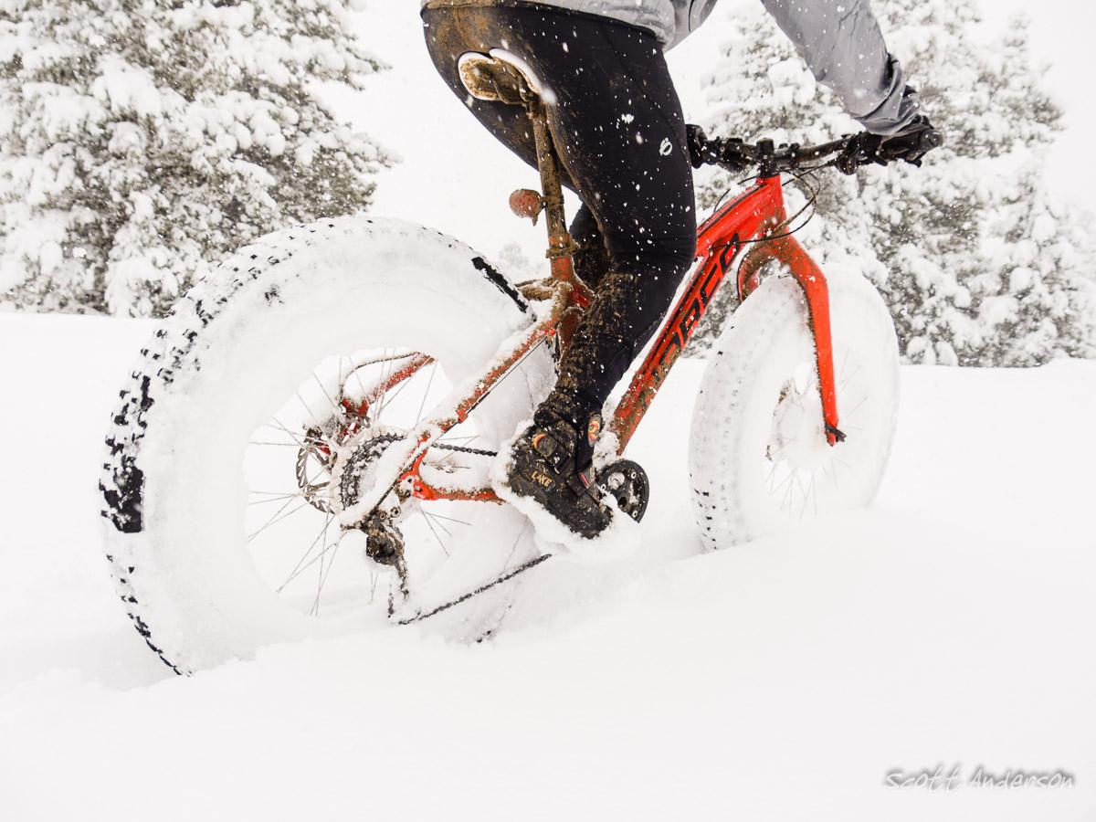A person riding a fat tire bicycle through a snowy landscape, with large snowflakes falling around them. The bike features wide tires, designed for traversing snow, and the rider is dressed in winter clothing. Snow-covered trees are visible in the background. River Road / #371 mountain bike trail.