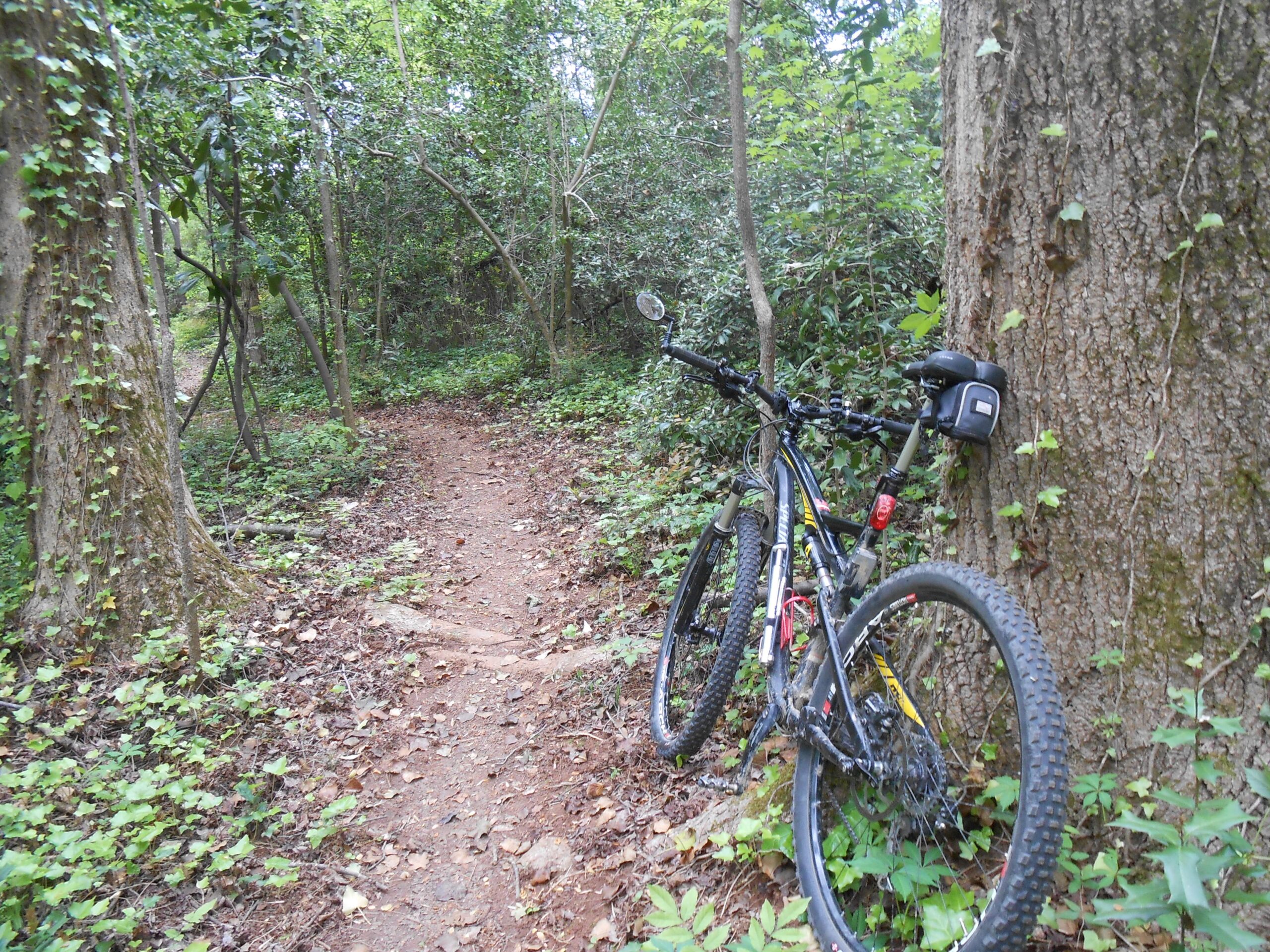 mountain bike trails central coast