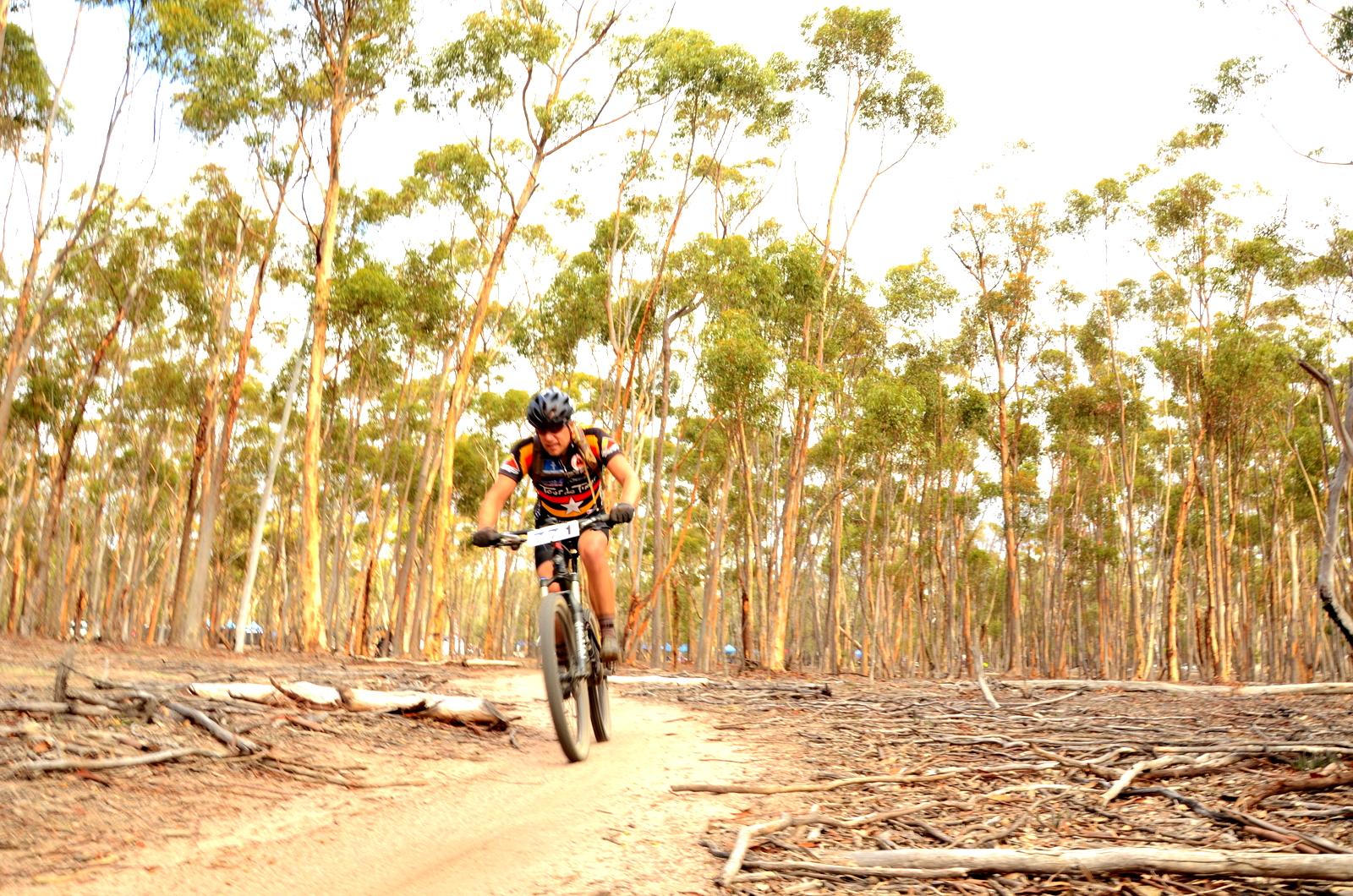 A mountain biker riding on a dirt trail through a forest of tall eucalyptus trees, with scattered branches and a sunny sky in the background. You Yangs Regional Park mountain bike trail.