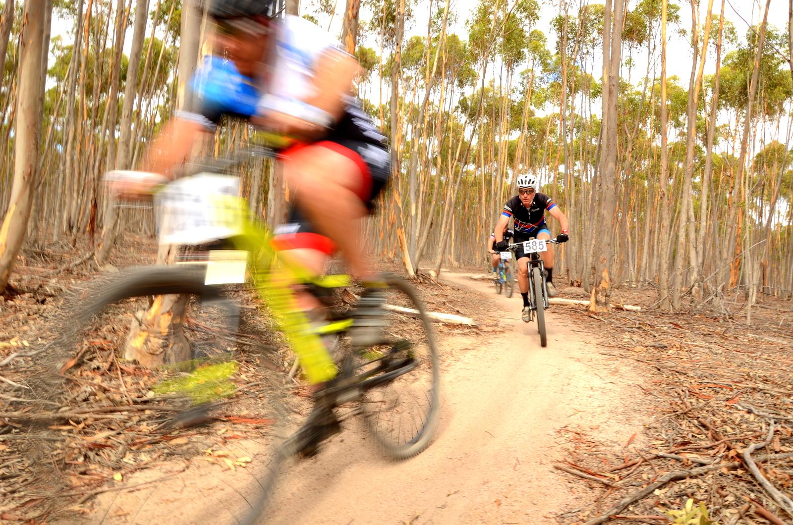 A group of mountain bikers racing on a dirt trail through a forest of tall eucalyptus trees. The foreground features a cyclist in motion, partially blurred, while two additional riders are visible in the background, riding along the winding path. The scene captures the excitement and speed of mountain biking in a natural setting. You Yangs Regional Park mountain bike trail.