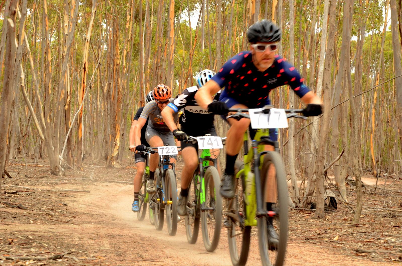 A group of four mountain bikers racing along a dirt path in a eucalyptus forest. The riders are wearing colorful jerseys and helmets, with race numbers displayed on their bikes. Dust is kicked up as they navigate through the trees, creating a dynamic and energetic atmosphere. You Yangs Regional Park mountain bike trail.