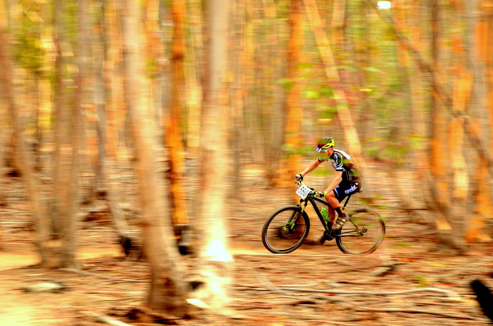 A mountain biker speeds along a dirt trail in a wooded area, surrounded by tall trees with orange and green hues. The image captures a sense of motion with a blurred background, emphasizing the athlete's dynamic ride. The cyclist is wearing a helmet and sports gear, with a race number visible on their bike. You Yangs Regional Park mountain bike trail.