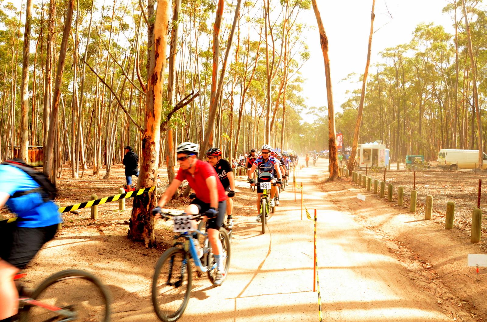 A group of mountain bikers riding along a dirt trail surrounded by tall eucalyptus trees. The scene captures a sunny day, with dust being kicked up as the cyclists navigate the path. Some riders are in motion, while others can be seen lining up in the background, with yellow caution tape marking the route. You Yangs Regional Park mountain bike trail.