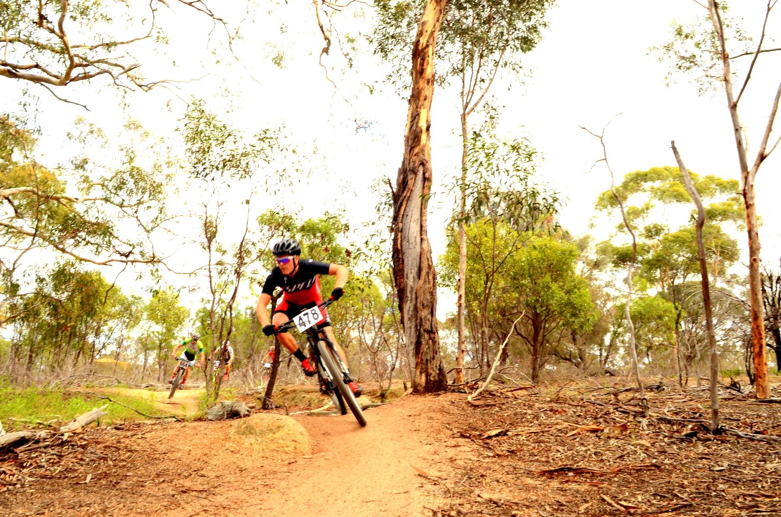 A mountain biker in a black and red jersey and helmet is navigating a dirt trail surrounded by eucalyptus trees. In the background, other bikers are visible riding along the path. The scene emphasizes the action and natural environment of mountain biking. You Yangs Regional Park mountain bike trail.