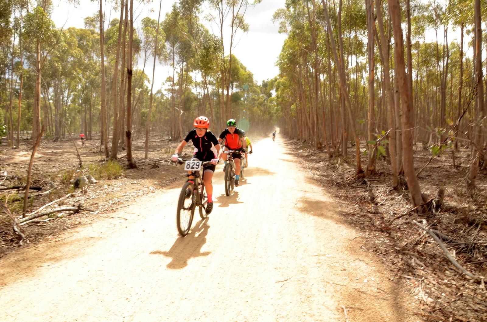 A group of mountain bikers riding on a dusty trail through a eucalyptus forest. The scenery features tall trees on both sides, with a few cyclists visible in the background. One biker in the foreground is wearing a bright orange helmet and jersey, with a race number displayed on their bike. The atmosphere suggests a sunny day with some clouds. You Yangs Regional Park mountain bike trail.