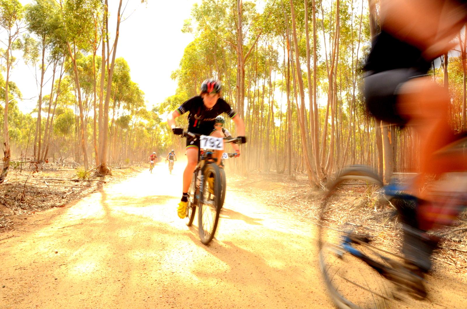 Mountain bikers racing down a dusty trail surrounded by tall trees, with one cyclist in focus and others blurred in the background. The sunlight creates a warm, bright atmosphere. You Yangs Regional Park mountain bike trail.