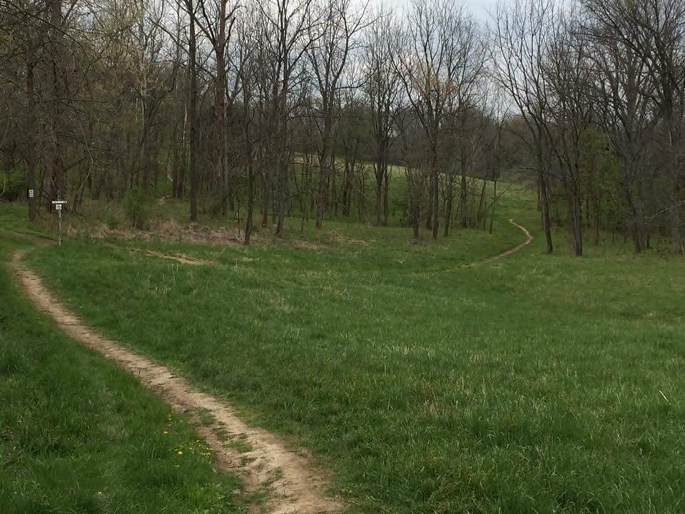 A winding dirt path leads through a grassy area surrounded by bare trees, with a sign visible to the left. The landscape is lush and green, indicating springtime, with a gentle slope in the background. Knucklehead mountain bike trail.